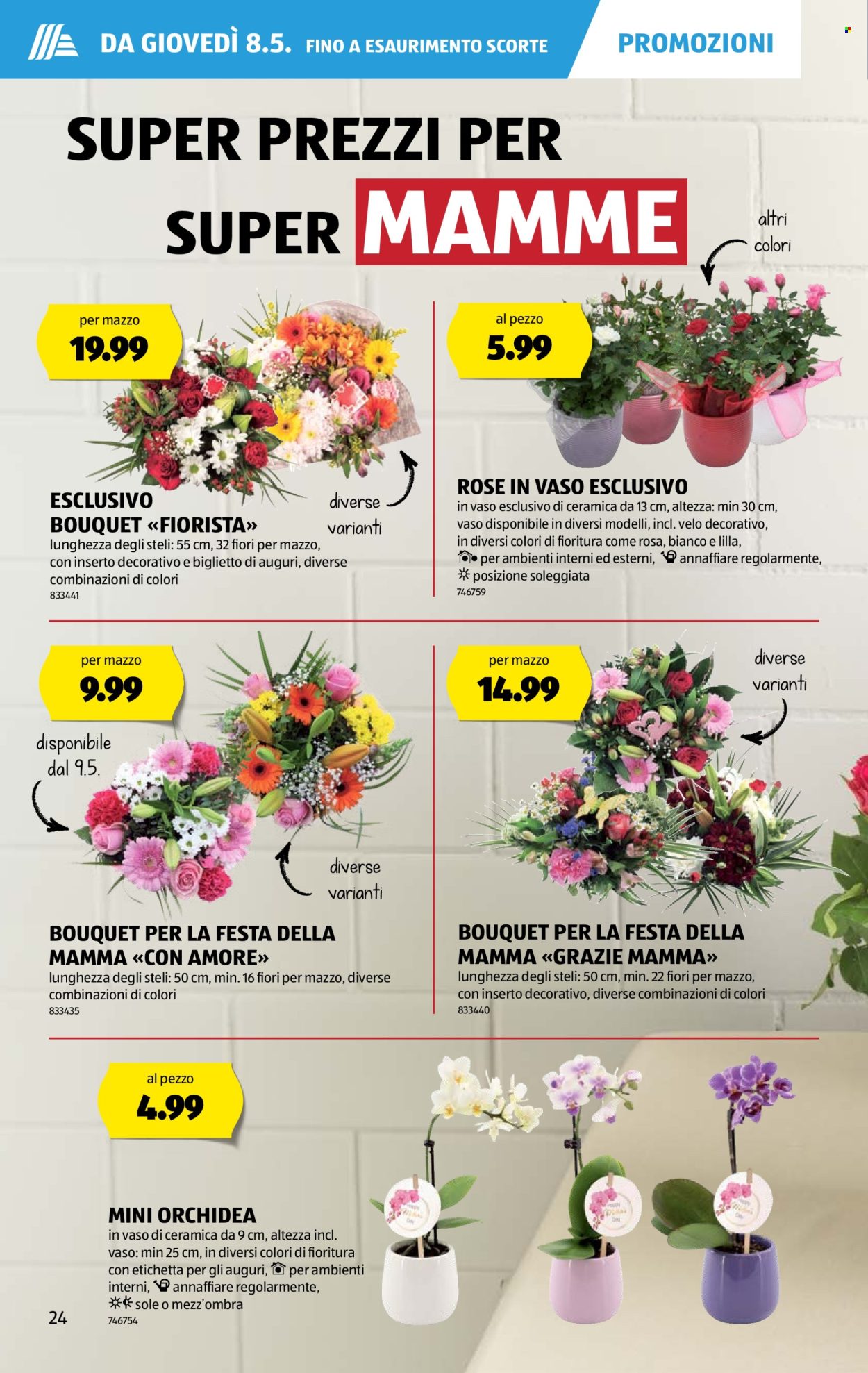Catalogue Aldi - 8.5.2025 - 14.5.2025. Page 24.