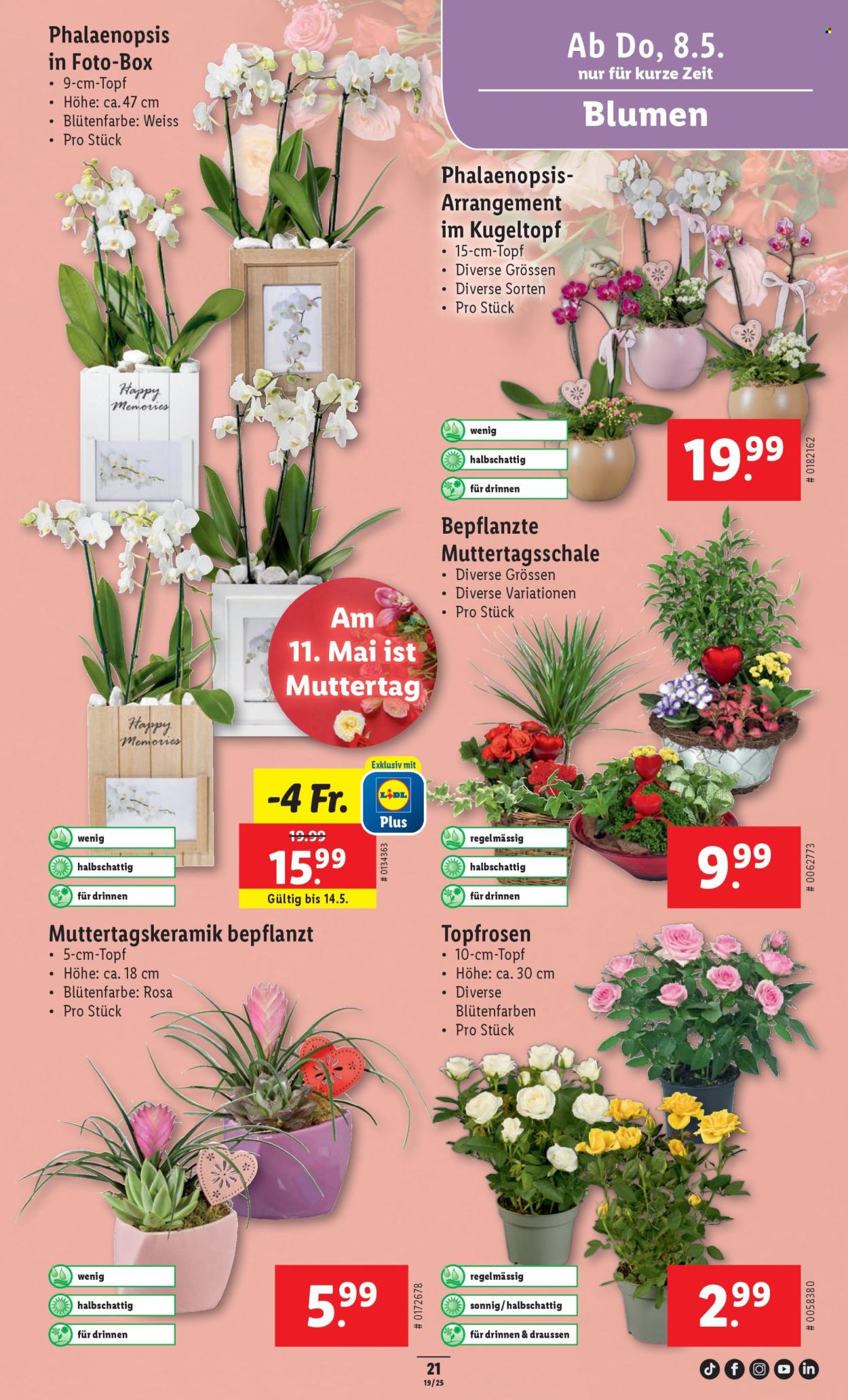 Catalogue Lidl - 8.5.2025 - 14.5.2025. Page 29.