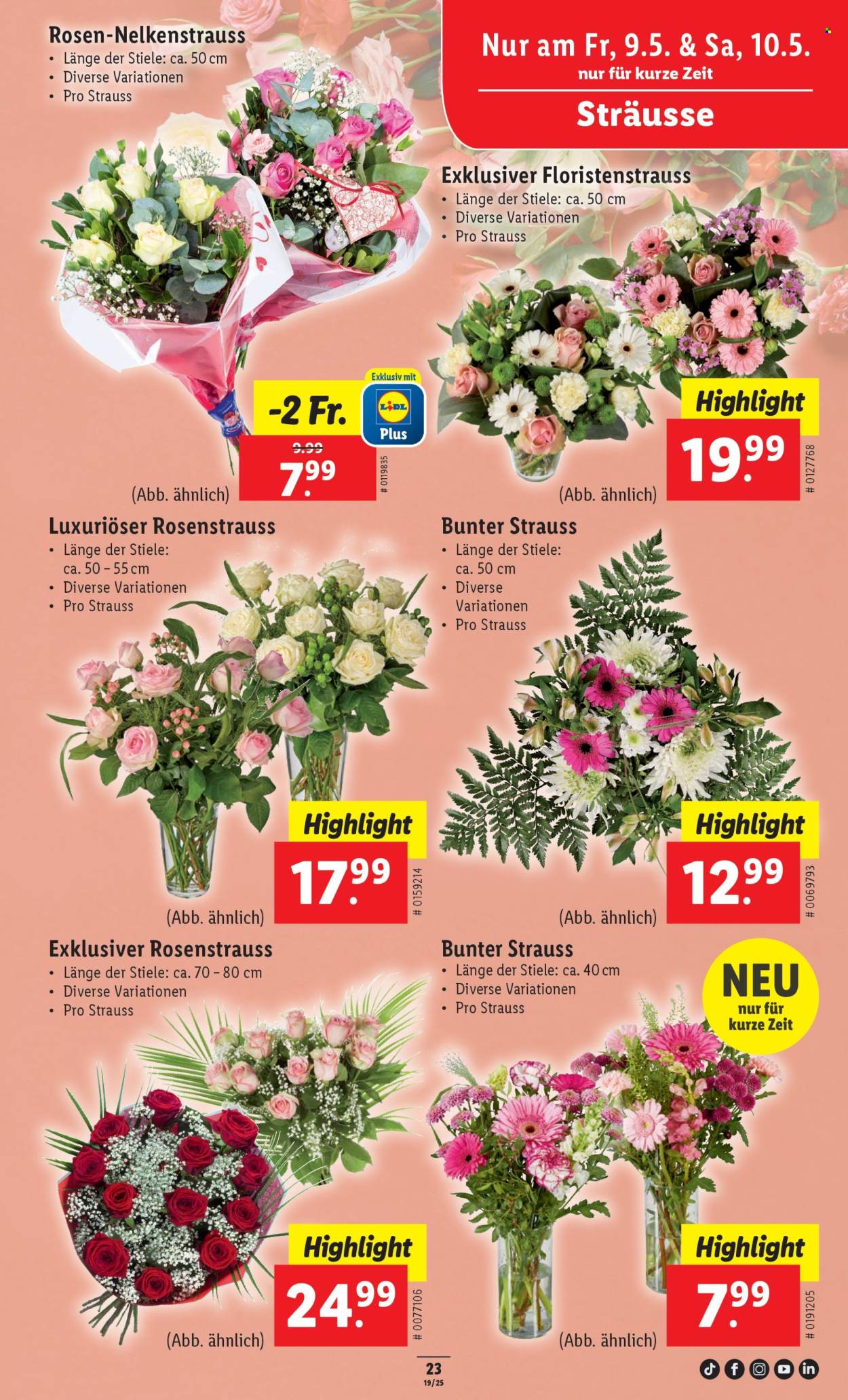 Catalogue Lidl - 8.5.2025 - 14.5.2025. Page 31.