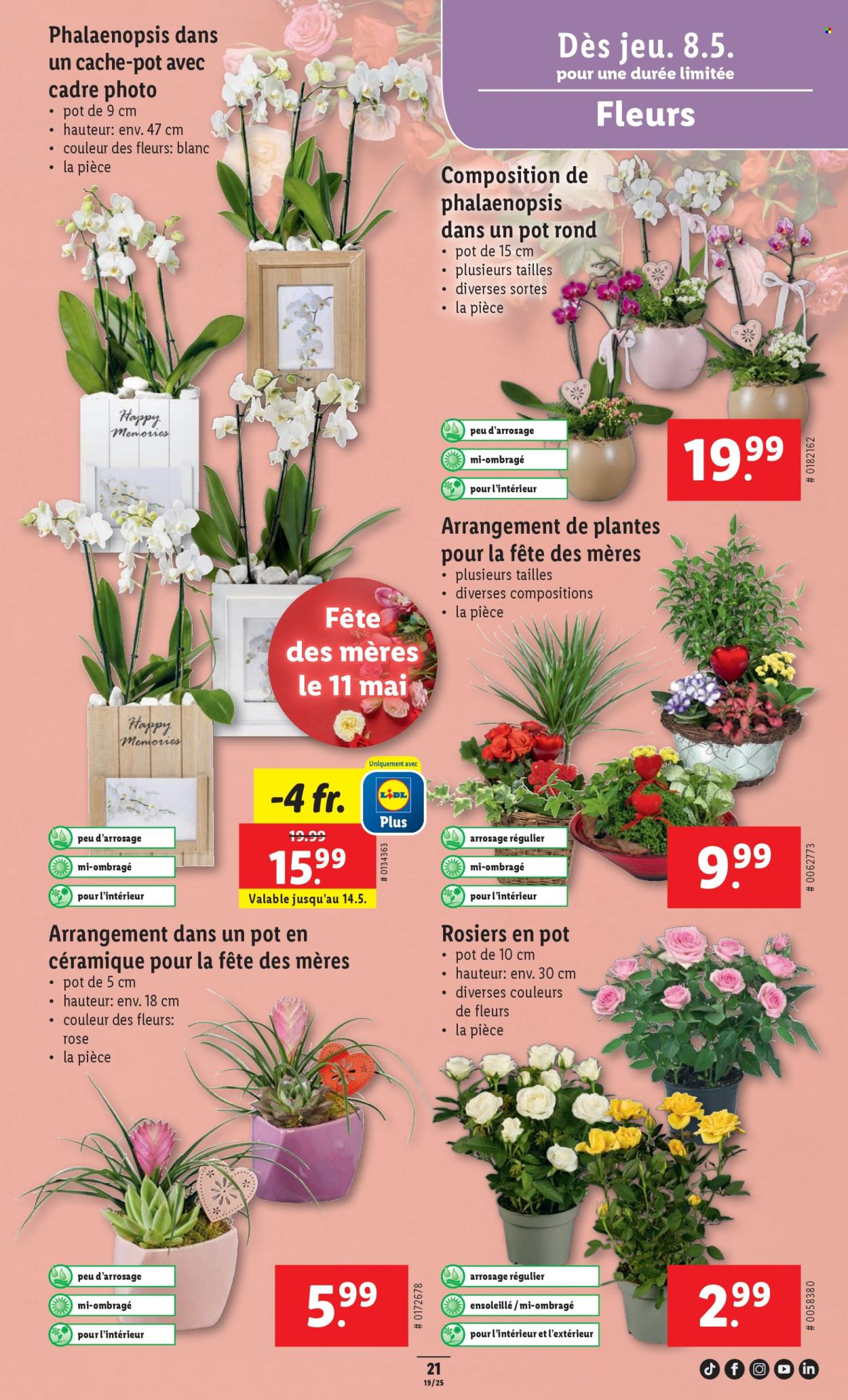 Catalogue Lidl - 8.5.2025 - 14.5.2025. Page 29.