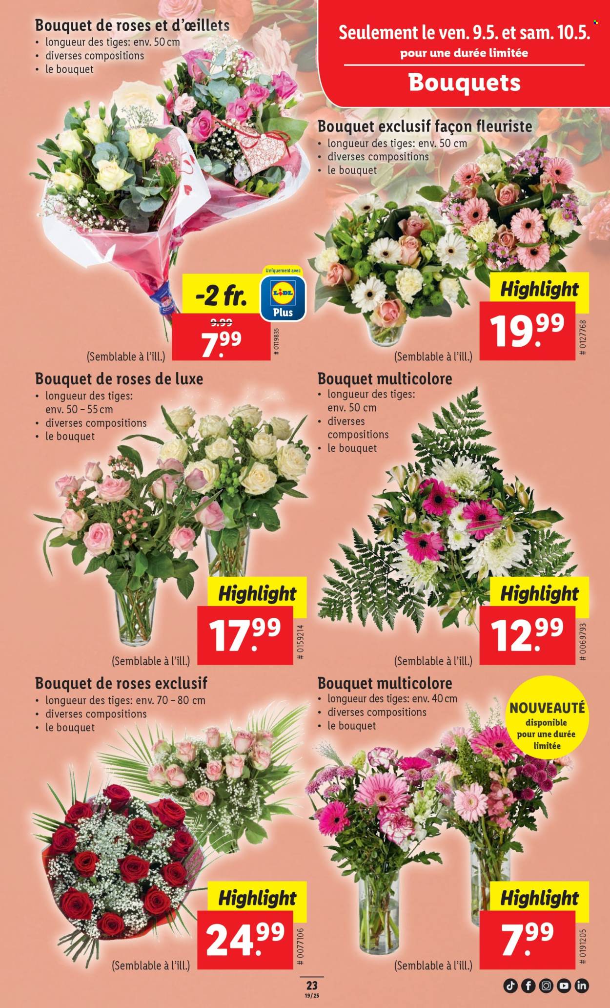 Catalogue Lidl - 8.5.2025 - 14.5.2025. Page 31.