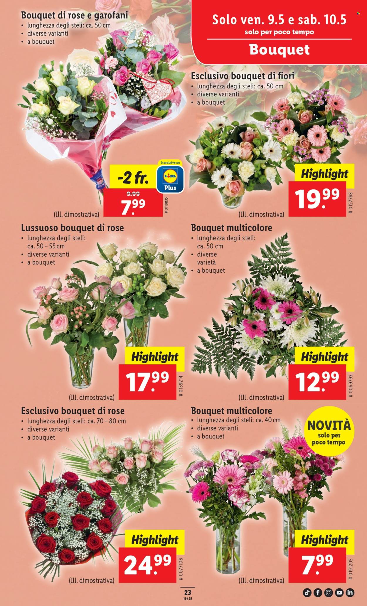 Catalogue Lidl - 8.5.2025 - 14.5.2025. Page 31.