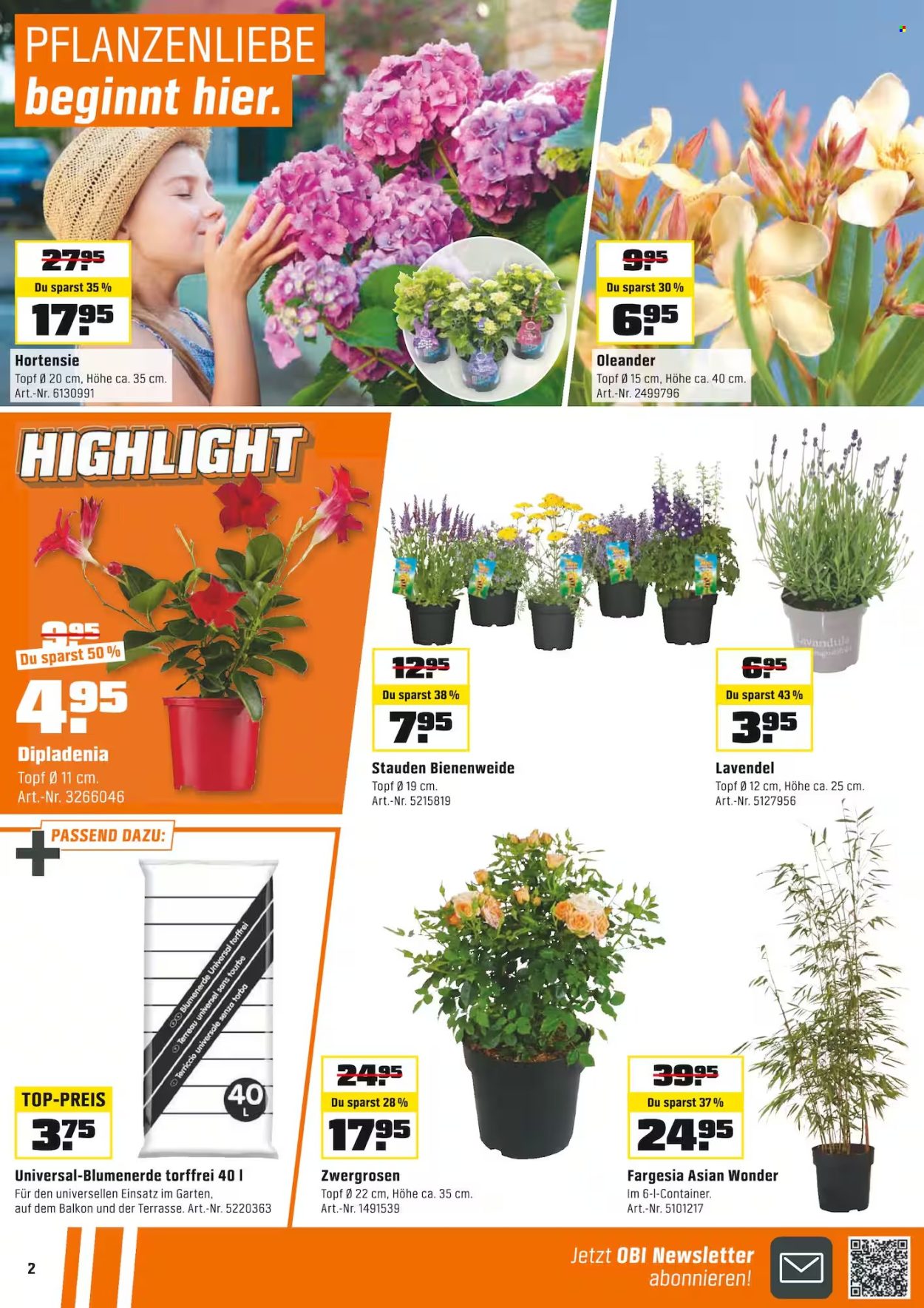Catalogue OBI - 11.5.2025 - 24.5.2025. Page 2.