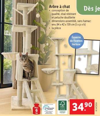 Arbre à chat