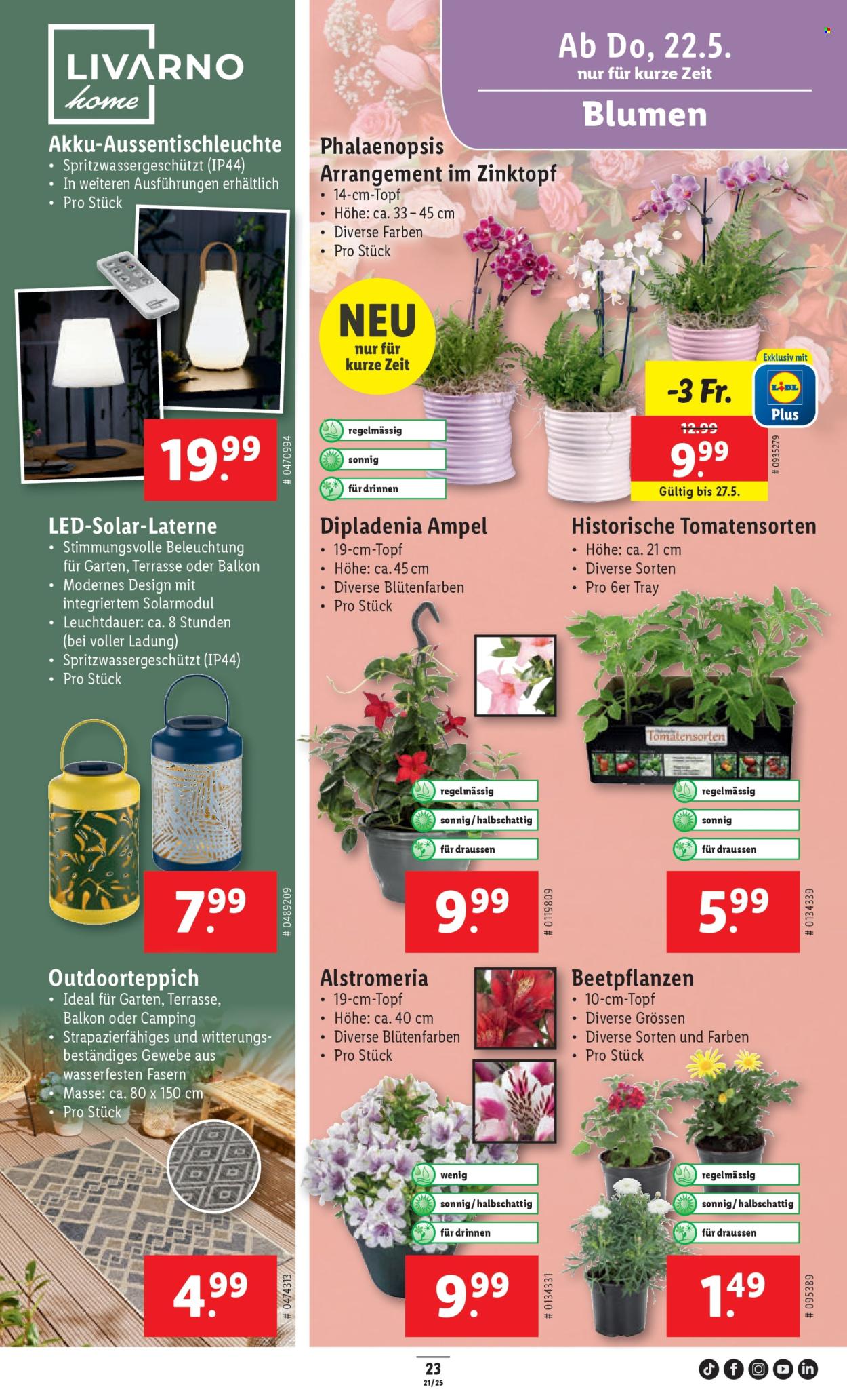 Catalogue Lidl - 22.5.2025 - 27.5.2025. Page 27.