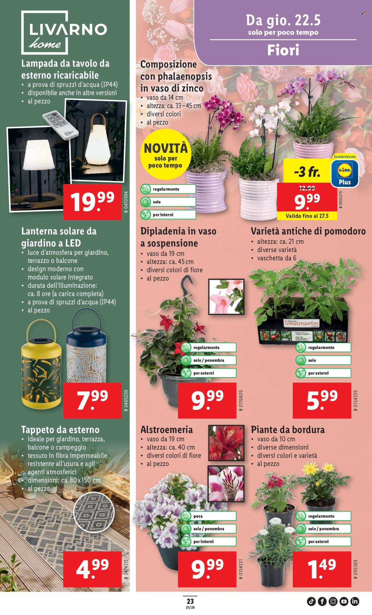 Catalogue Lidl - 22.5.2025 - 27.5.2025. Page 27.
