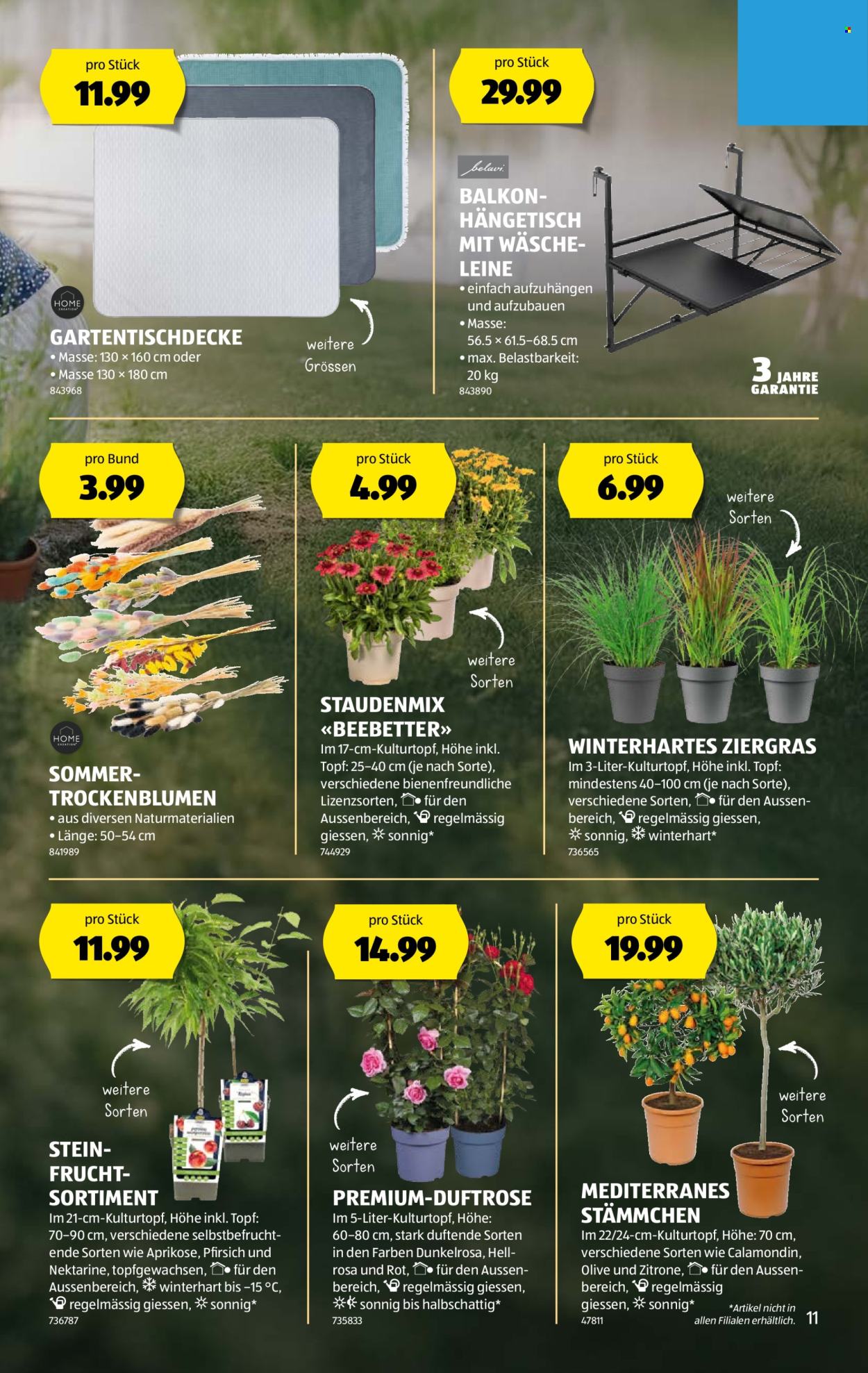 Catalogue Aldi - 28.5.2025 - 4.6.2025. Page 11.