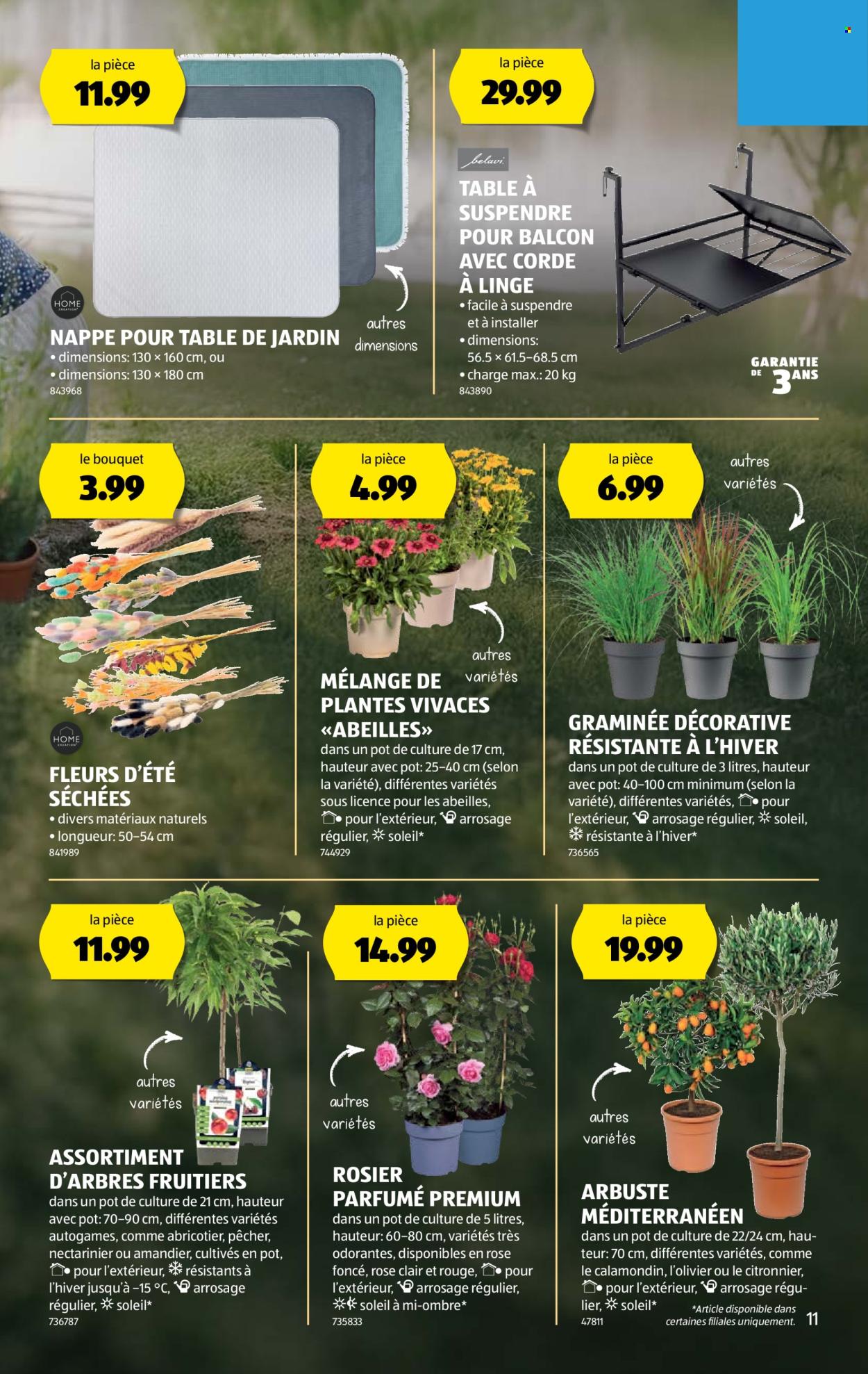Catalogue Aldi - 28.5.2025 - 4.6.2025. Page 11.