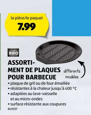 ASSORTIMENT DE PLAQUES POUR BARBECUE