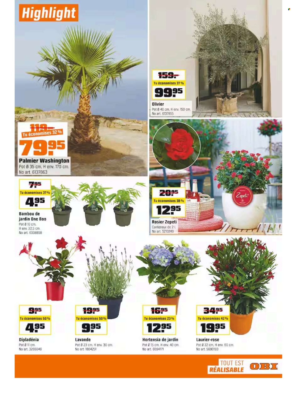 Catalogue OBI - 25.5.2025 - 14.6.2025. Page 3. Page 3