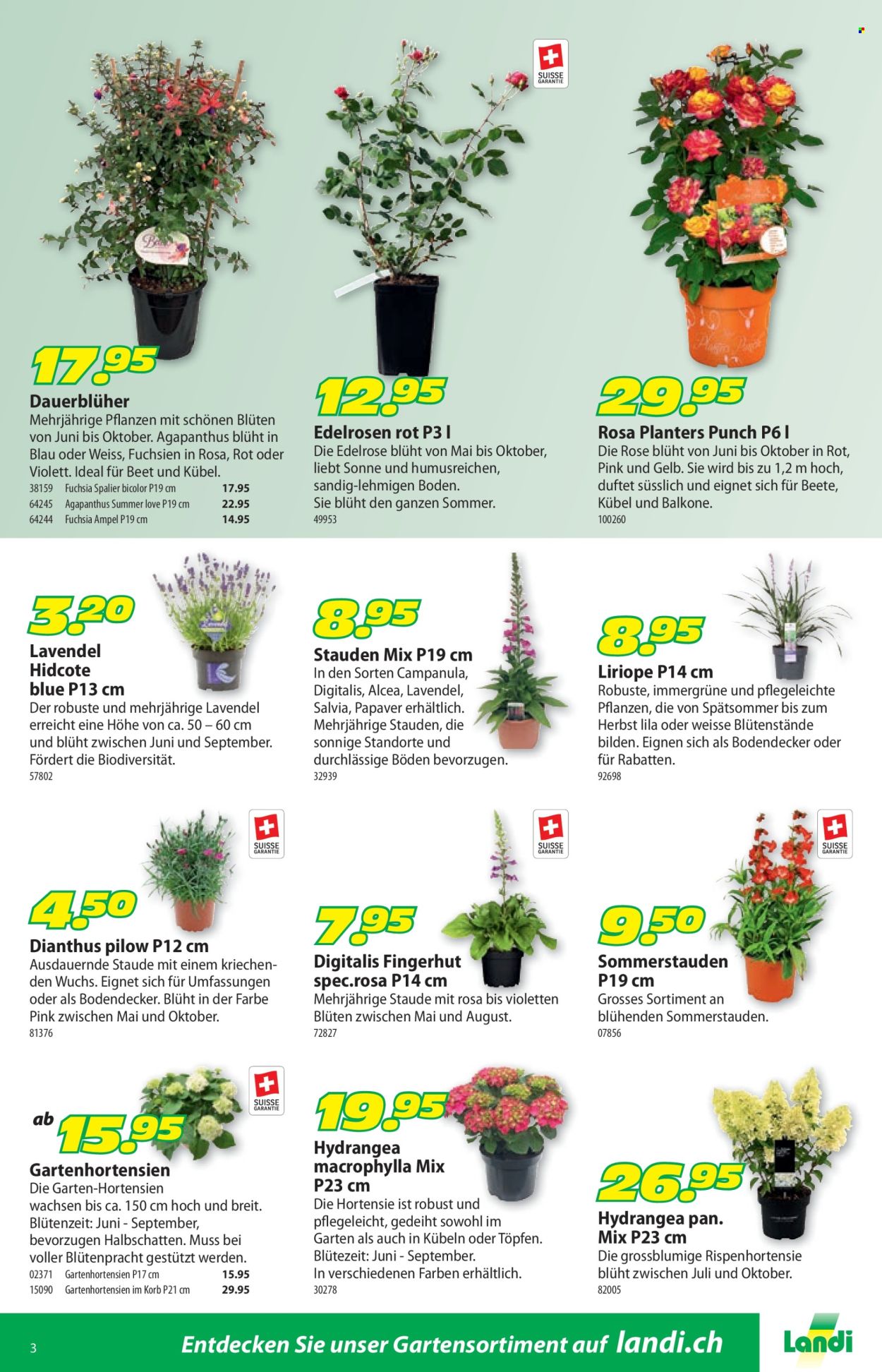 Catalogue Landi - 26.5.2025 - 8.6.2025. Page 7.