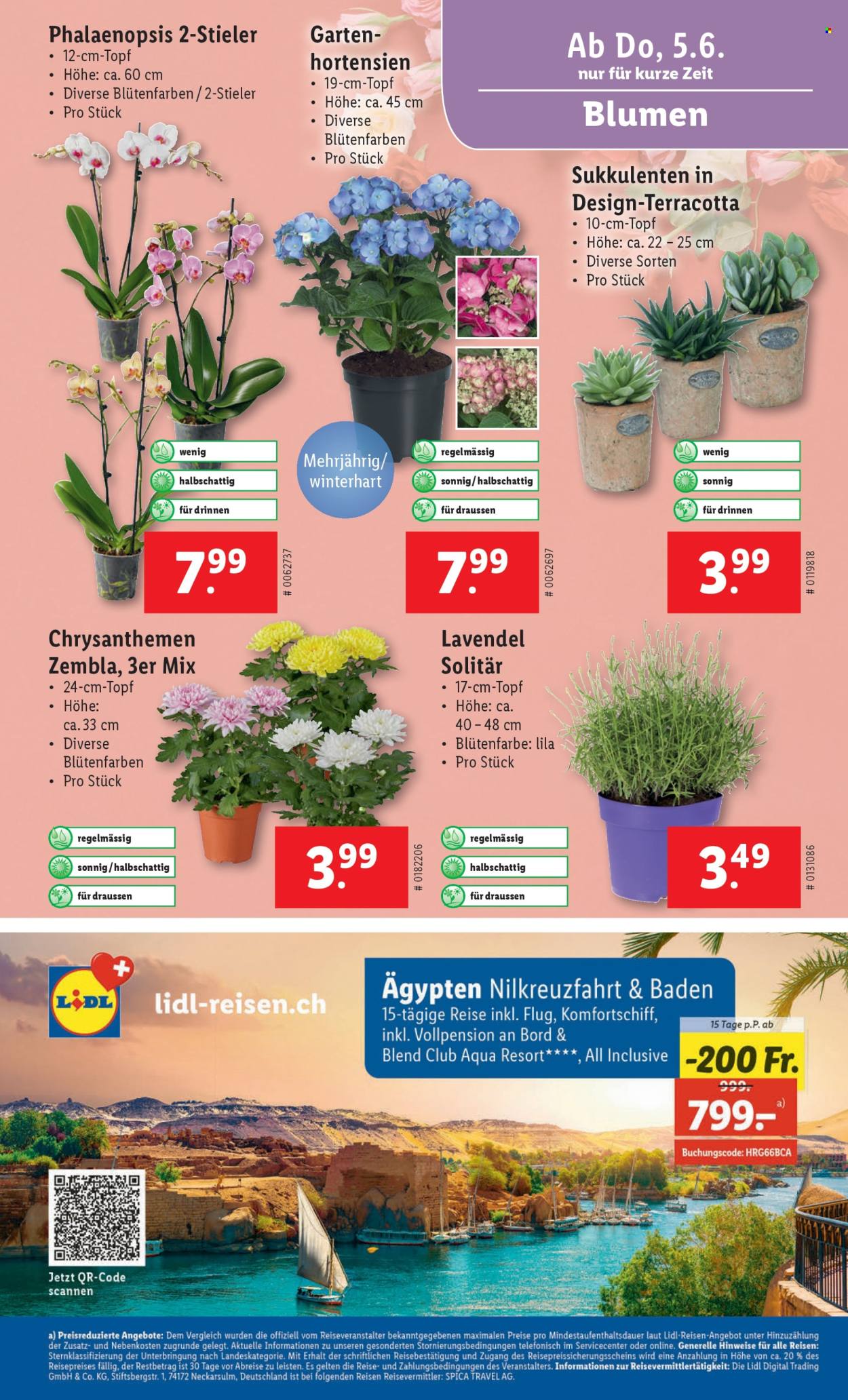 Catalogue Lidl - 5.6.2025 - 11.6.2025. Page 27. Page 27