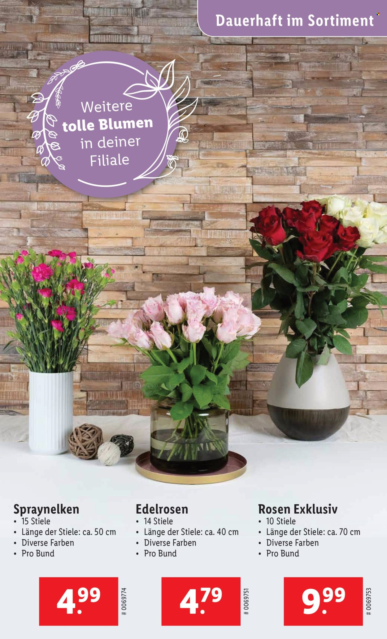 Catalogue Lidl - 5.6.2025 - 11.6.2025. Page 29. Page 29