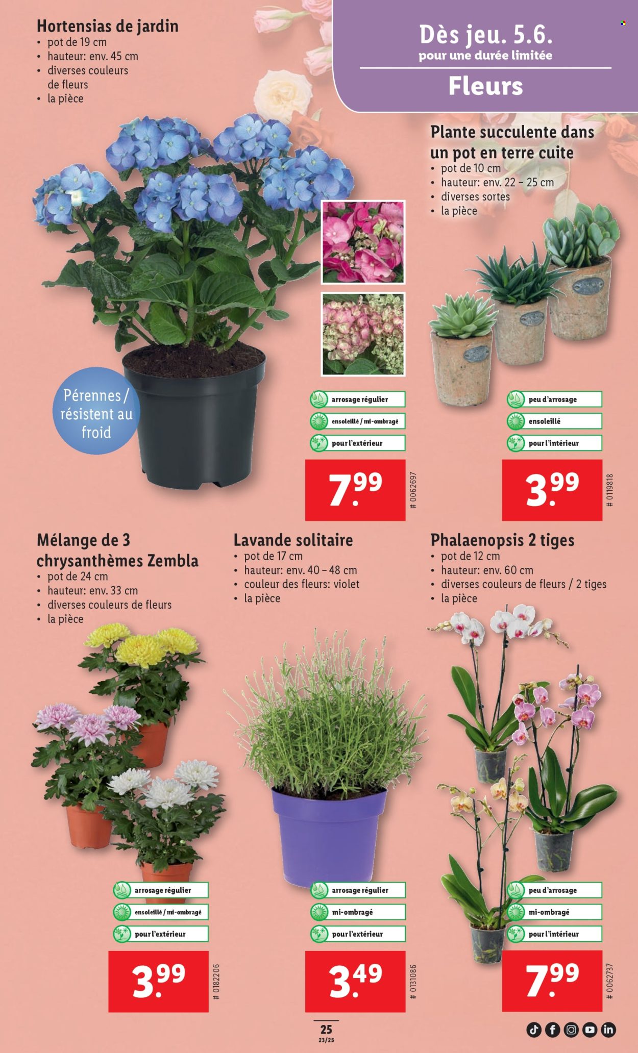 Catalogue Lidl - 5.6.2025 - 11.6.2025. Page 27.