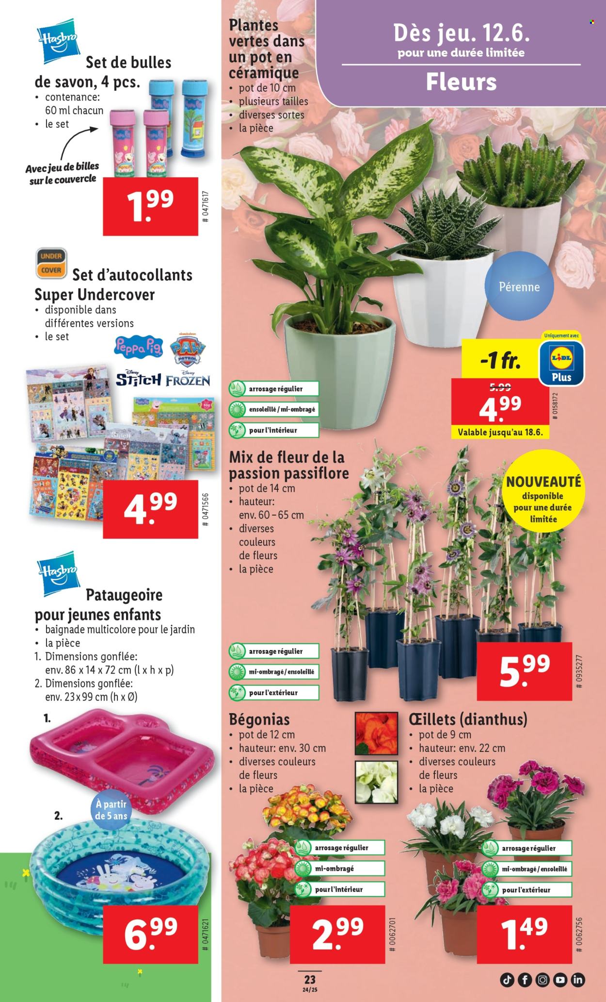 Catalogue Lidl - 12.6.2025 - 18.6.2025. Page 23. Page 23