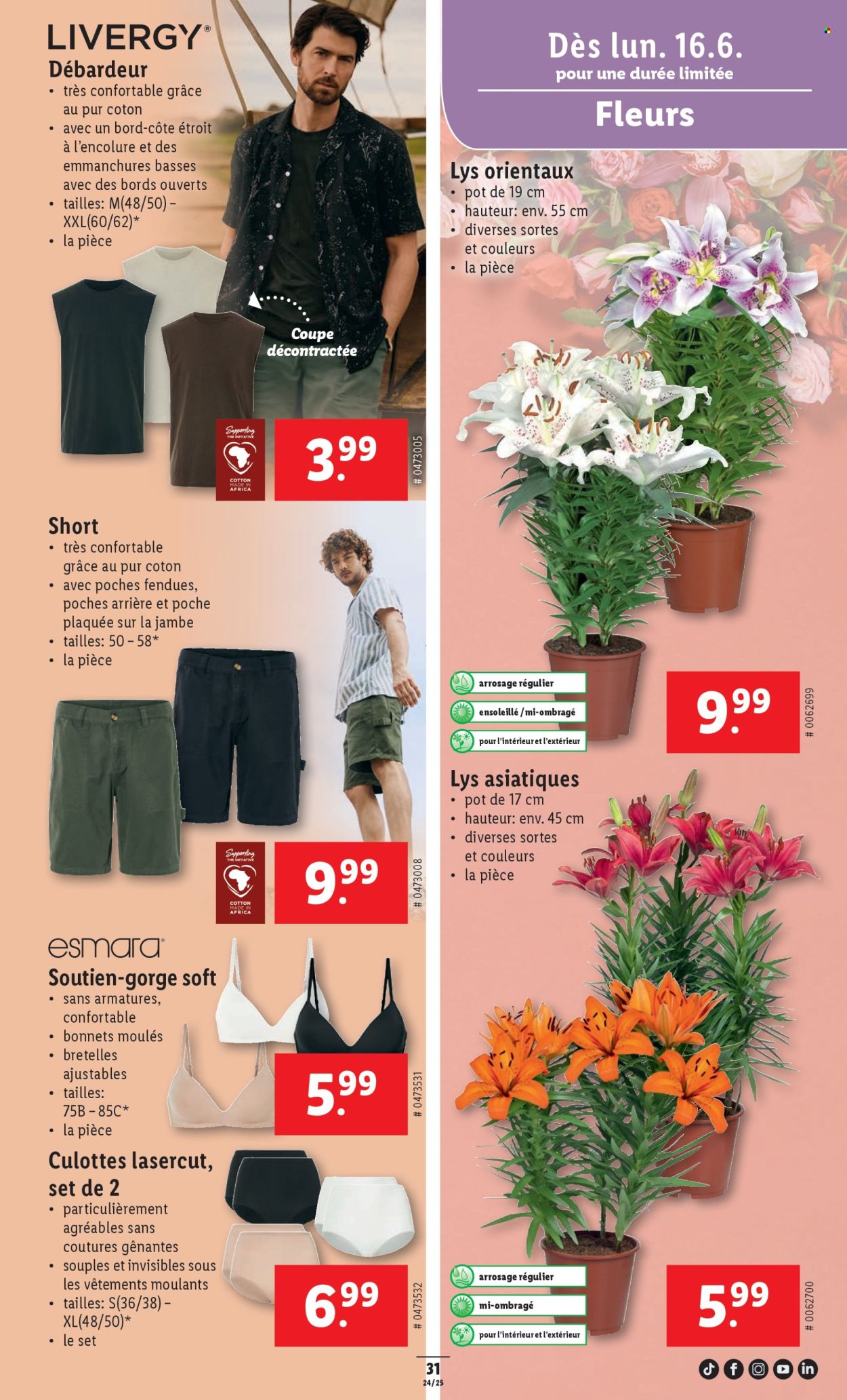 Catalogue Lidl - 12.6.2025 - 18.6.2025. Page 31. Page 31