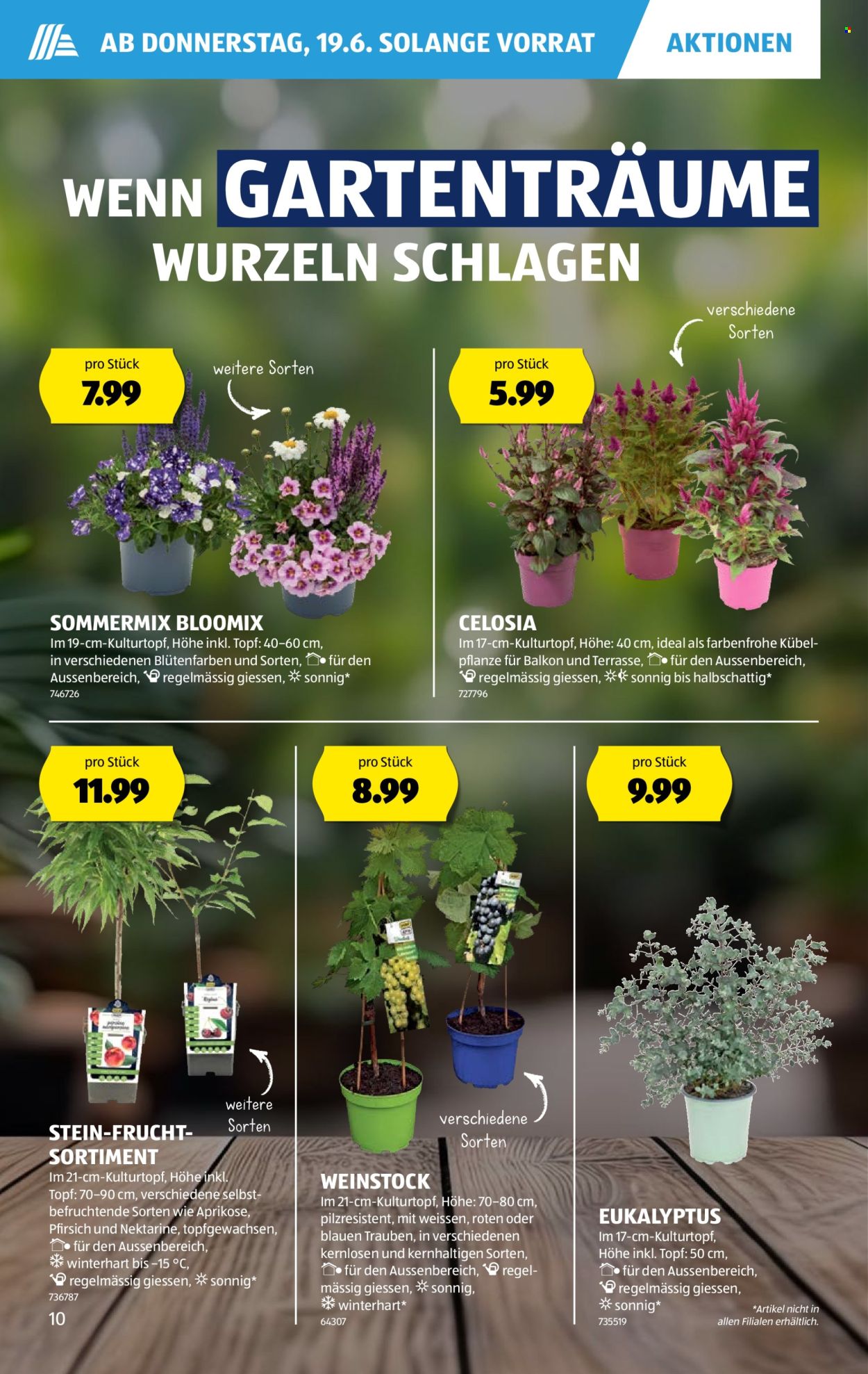 Catalogue Aldi - 19.6.2025 - 25.6.2025. Page 10. Page 10
