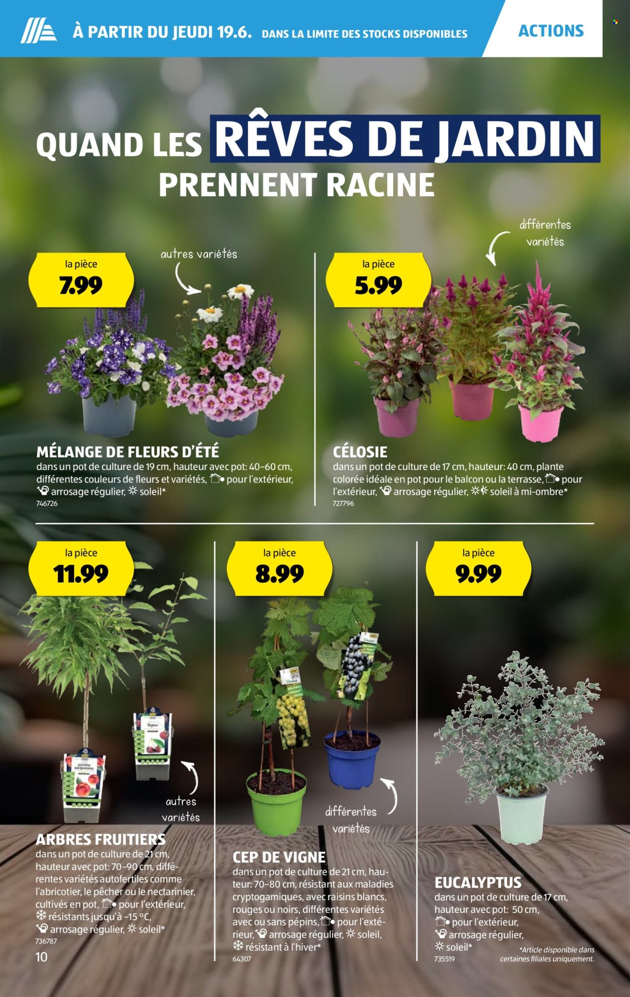 Catalogue Aldi - 19.6.2025 - 25.6.2025. Page 10. Page 10