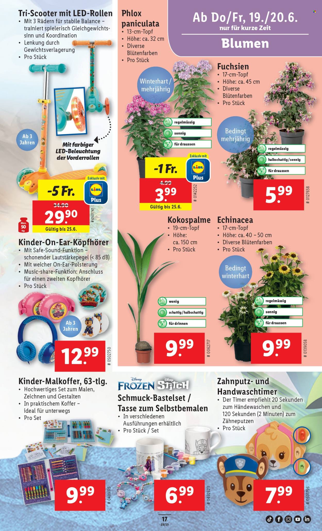 Catalogue Lidl - 19.6.2025 - 25.6.2025. Page 17. Page 17