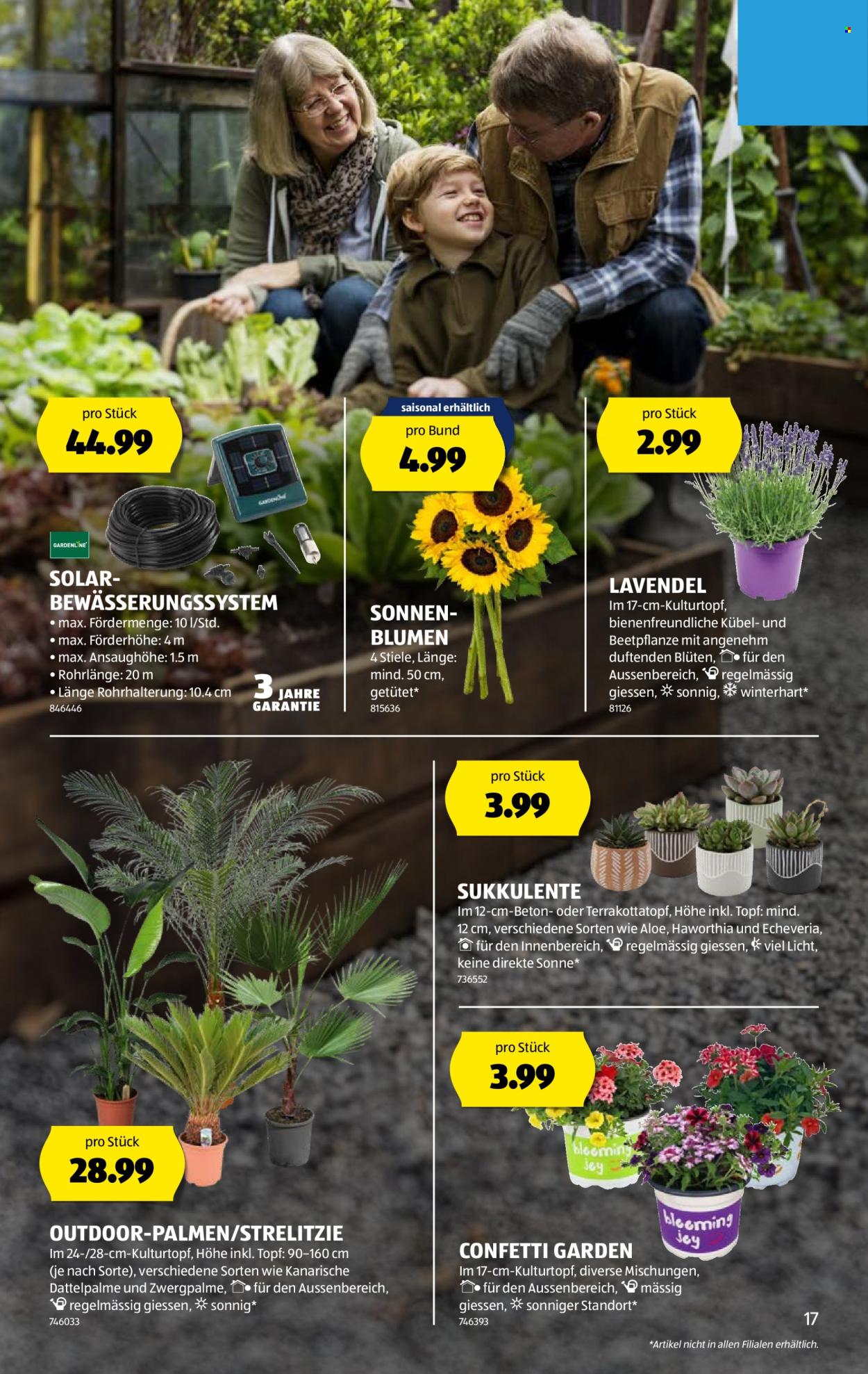 Catalogue Aldi - 26.6.2025 - 2.7.2025. Page 17. Page 17
