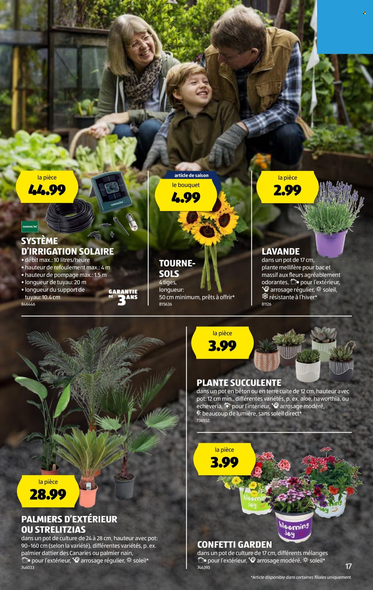 Catalogue Aldi - 26.6.2025 - 2.7.2025. Page 17. Page 17