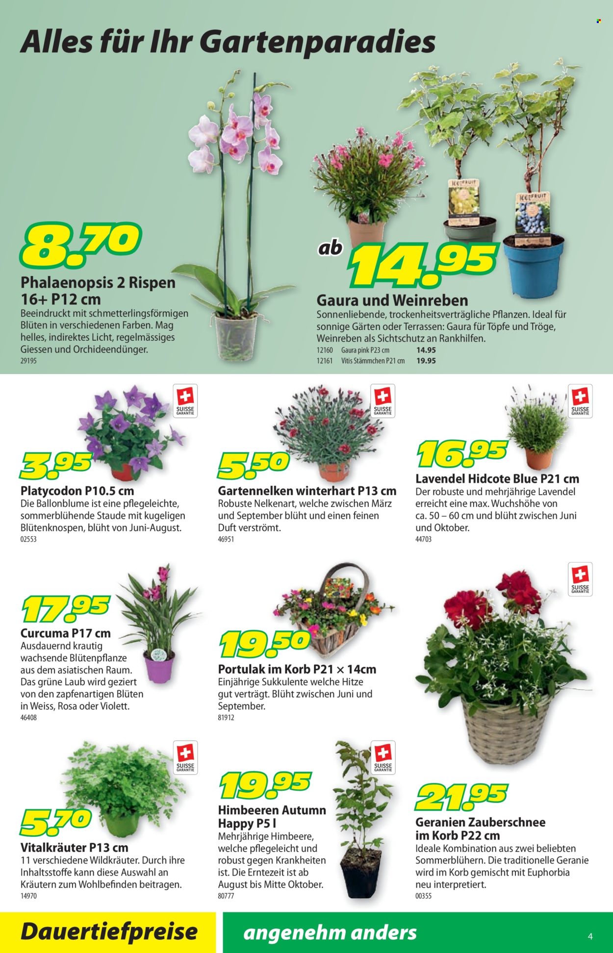 Catalogue Landi - 23.6.2025 - 6.7.2025. Page 8. Page 8