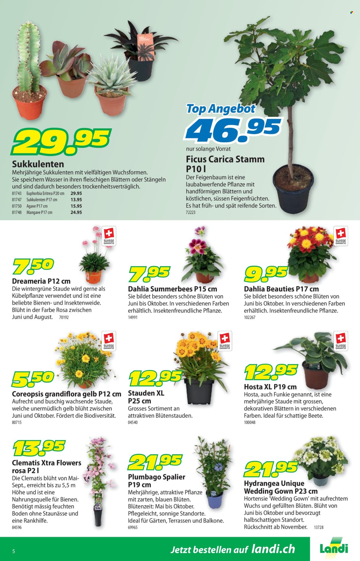 Catalogue Landi - 23.6.2025 - 6.7.2025. Page 9. Page 9