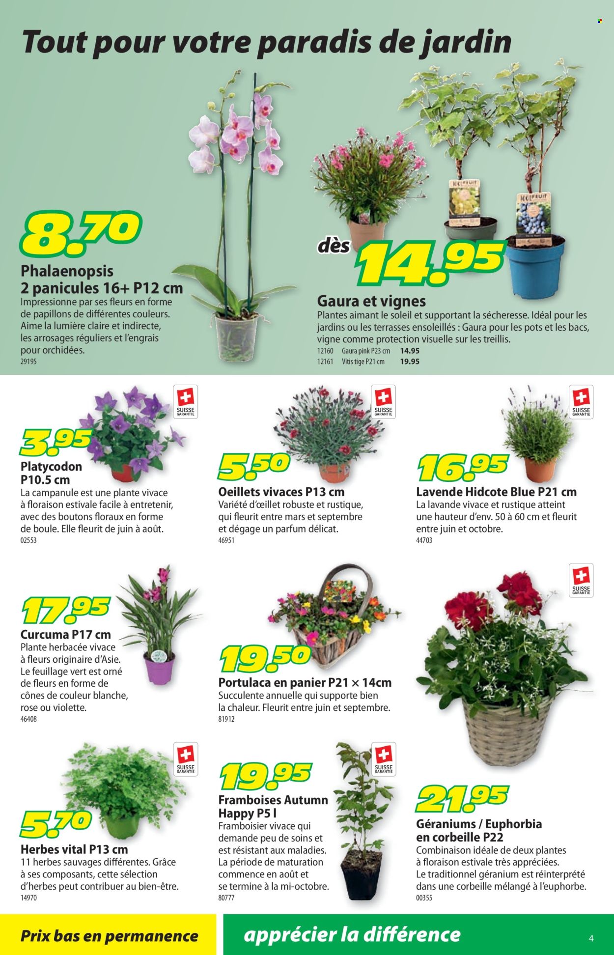 Catalogue Landi - 23.6.2025 - 6.7.2025. Page 8. Page 8