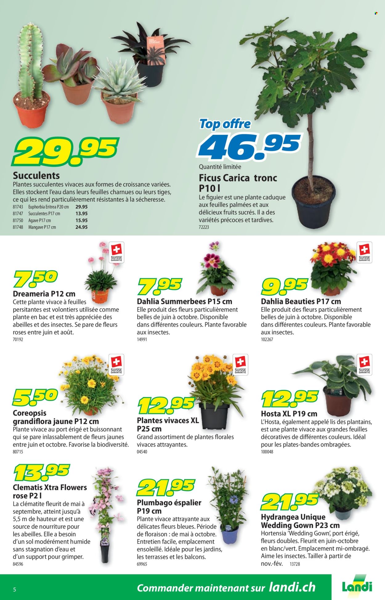 Catalogue Landi - 23.6.2025 - 6.7.2025. Page 9. Page 9