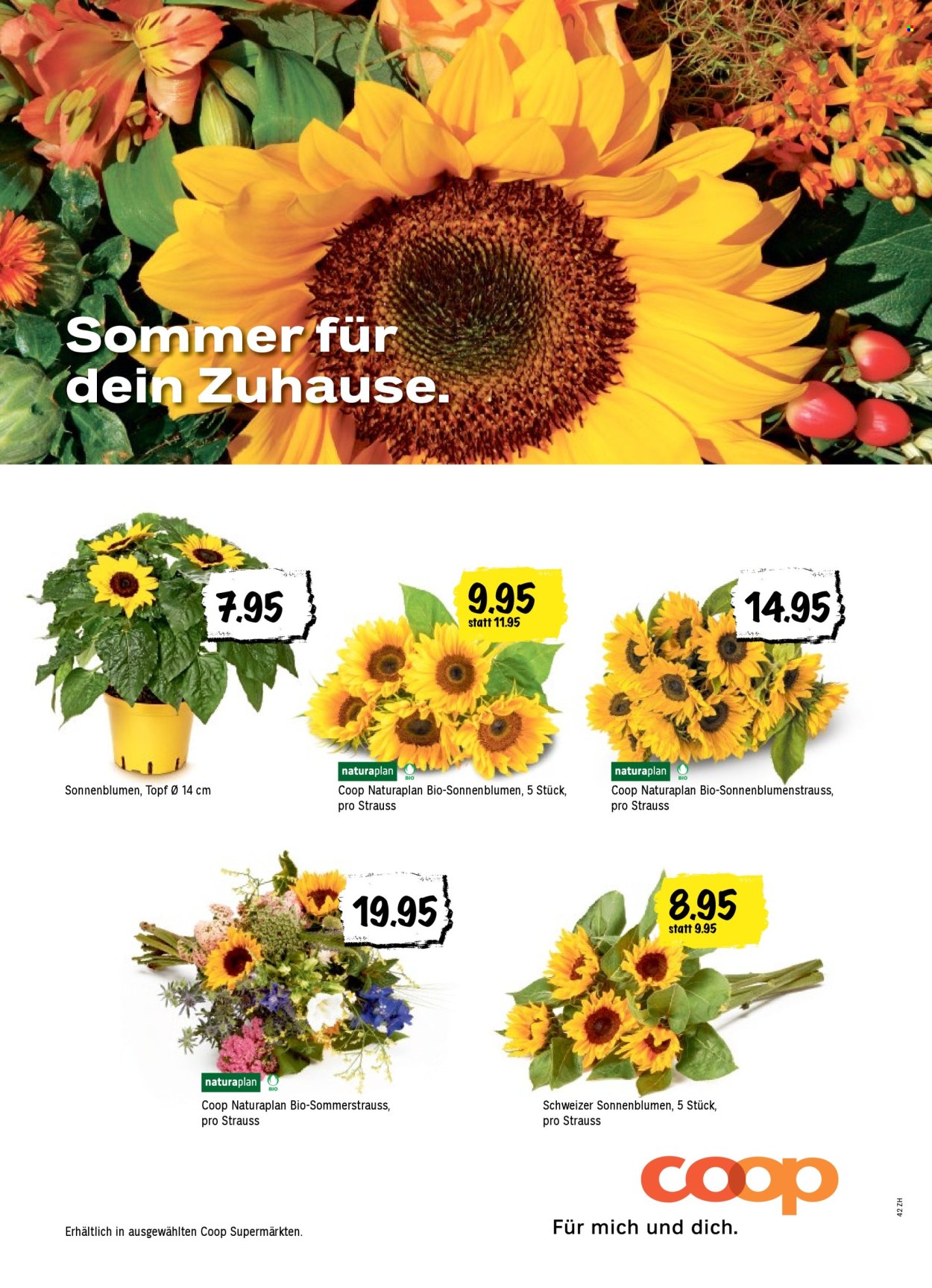 Catalogue Coop - 26.6.2025 - 2.7.2025. Page 60. Page 60