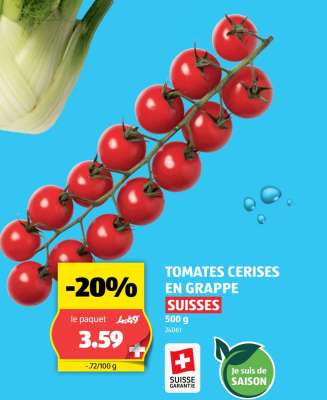 TOMATES CERISES EN GRAPPE SUISSES
