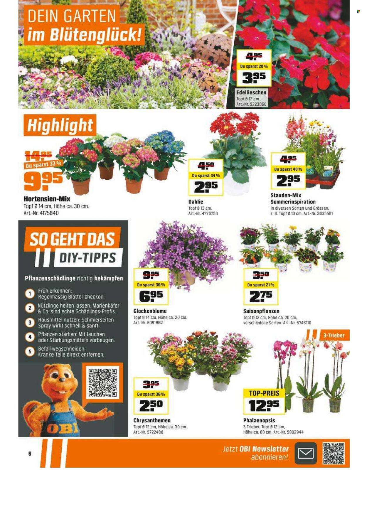 Catalogue OBI - 29.6.2025 - 19.7.2025. Page 6. Page 6