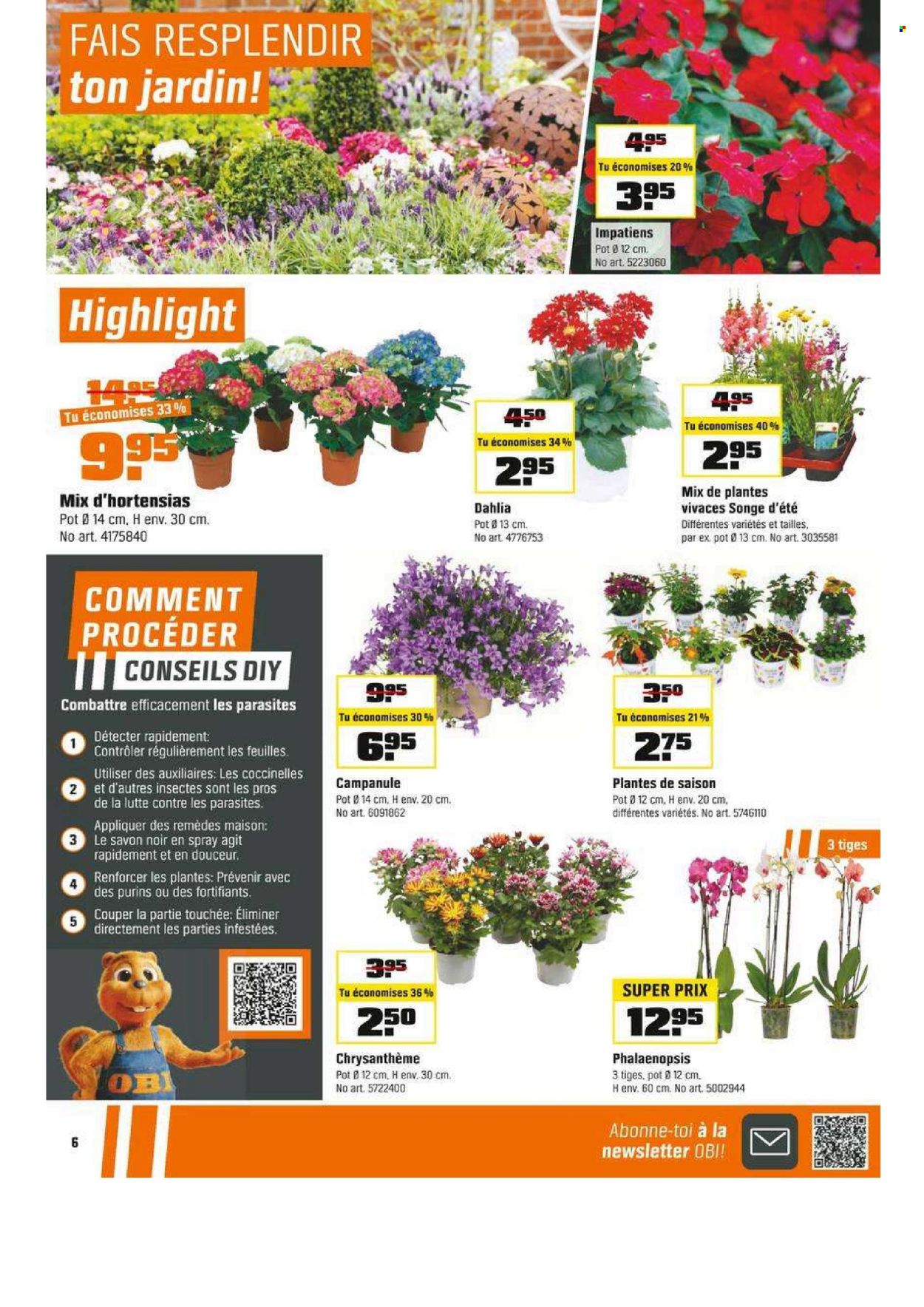 Catalogue OBI - 29.6.2025 - 17.8.2025. Page 6. Page 6