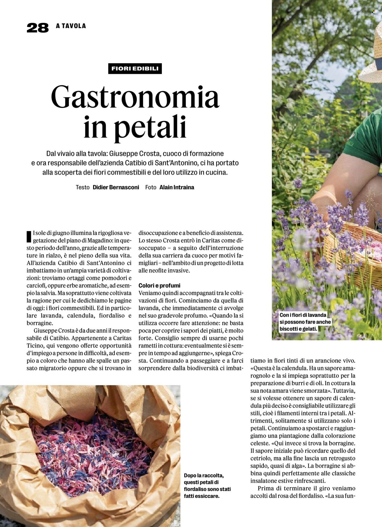 Catalogue Coop - 3.7.2025 - 9.7.2025. Page 28. Page 28
