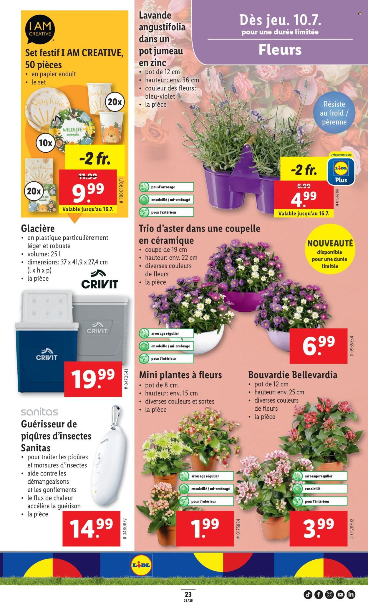 Catalogue Lidl - 10.7.2025 - 16.7.2025. Page 25. Page 25