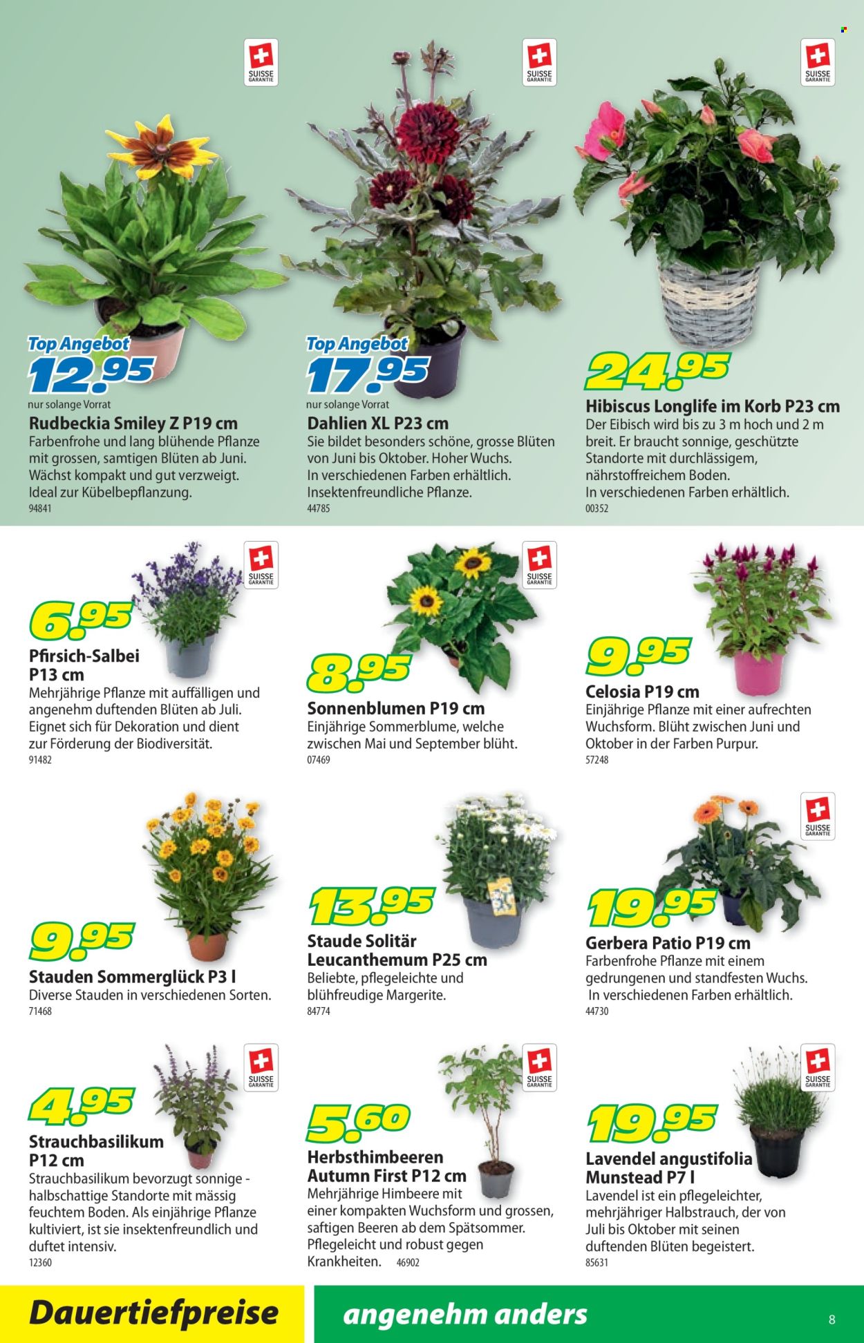 Catalogue Landi - 7.7.2025 - 20.7.2025. Page 12. Page 12