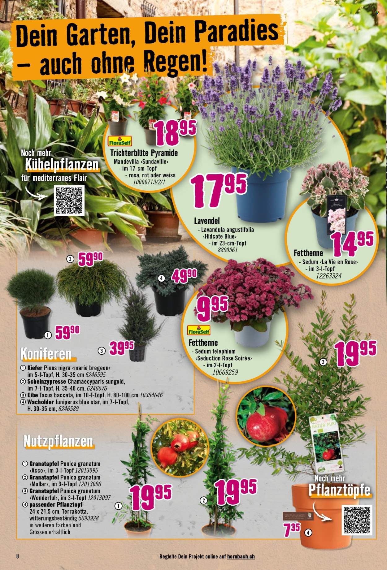 Catalogue Hornbach - 8.7.2025 - 4.8.2025. Page 8. Page 8