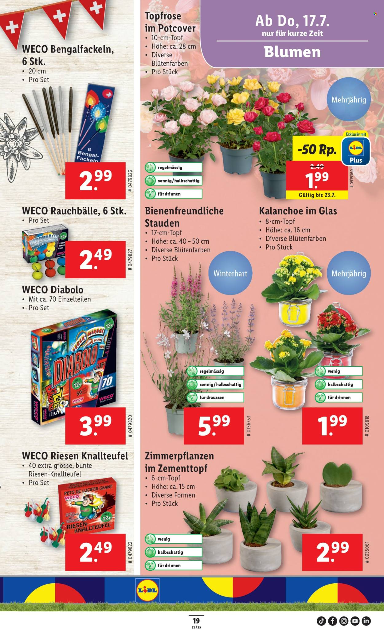 Catalogue Lidl - 17.7.2025 - 23.7.2025. Page 21. Page 21