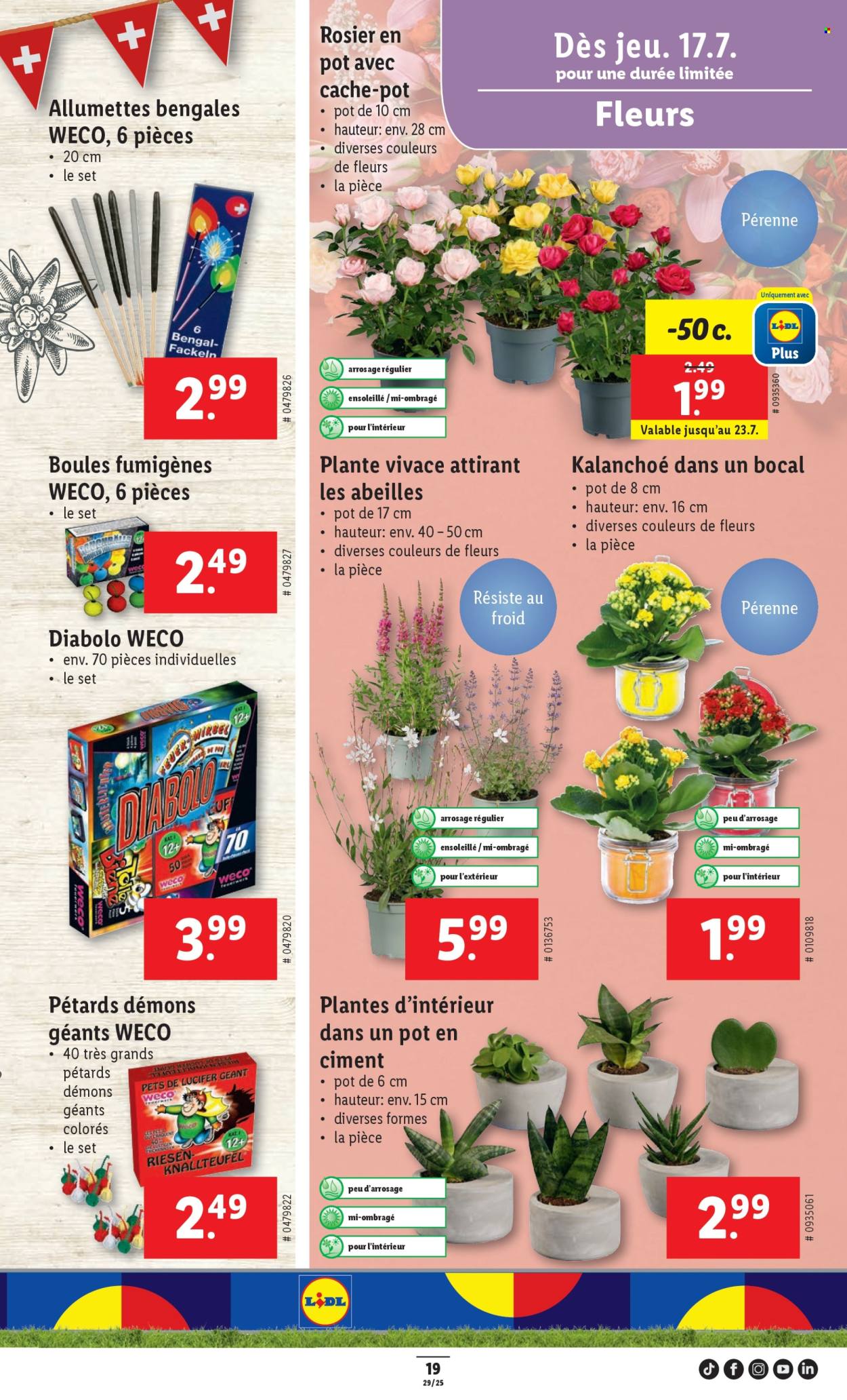 Catalogue Lidl - 17.7.2025 - 23.7.2025. Page 21. Page 21