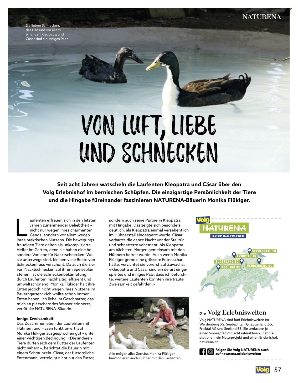 Catalogue Volg - 1.8.2025 - 31.8.2025. Page 57. Page 57