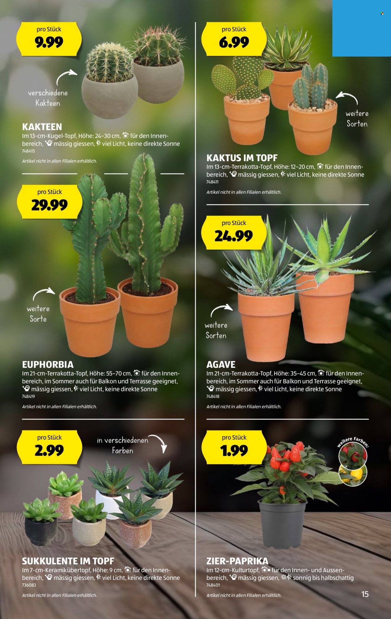 Catalogue Aldi - 7.8.2025 - 13.8.2025. Page 15. Page 15