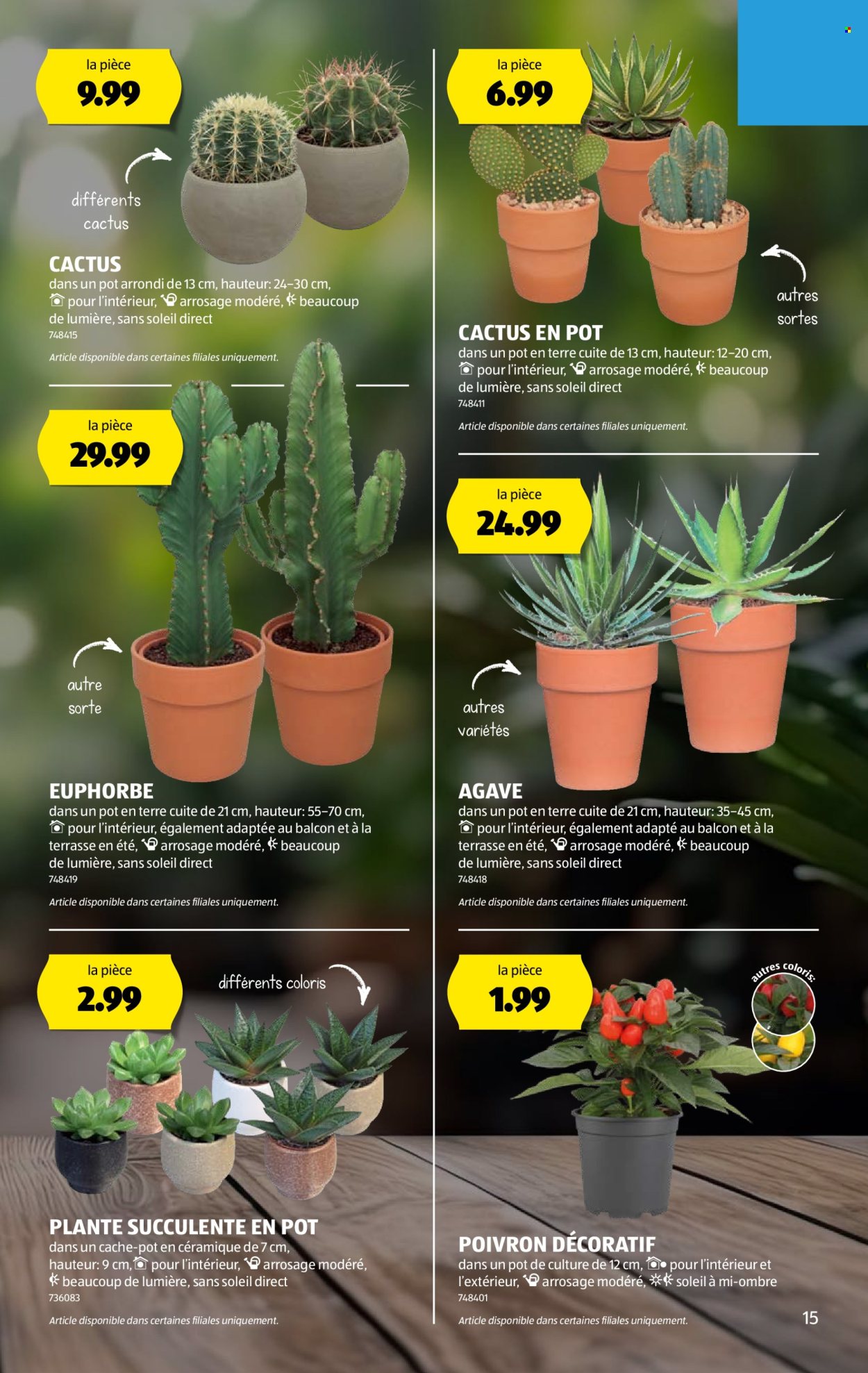 Catalogue Aldi - 7.8.2025 - 13.8.2025. Page 15. Page 15