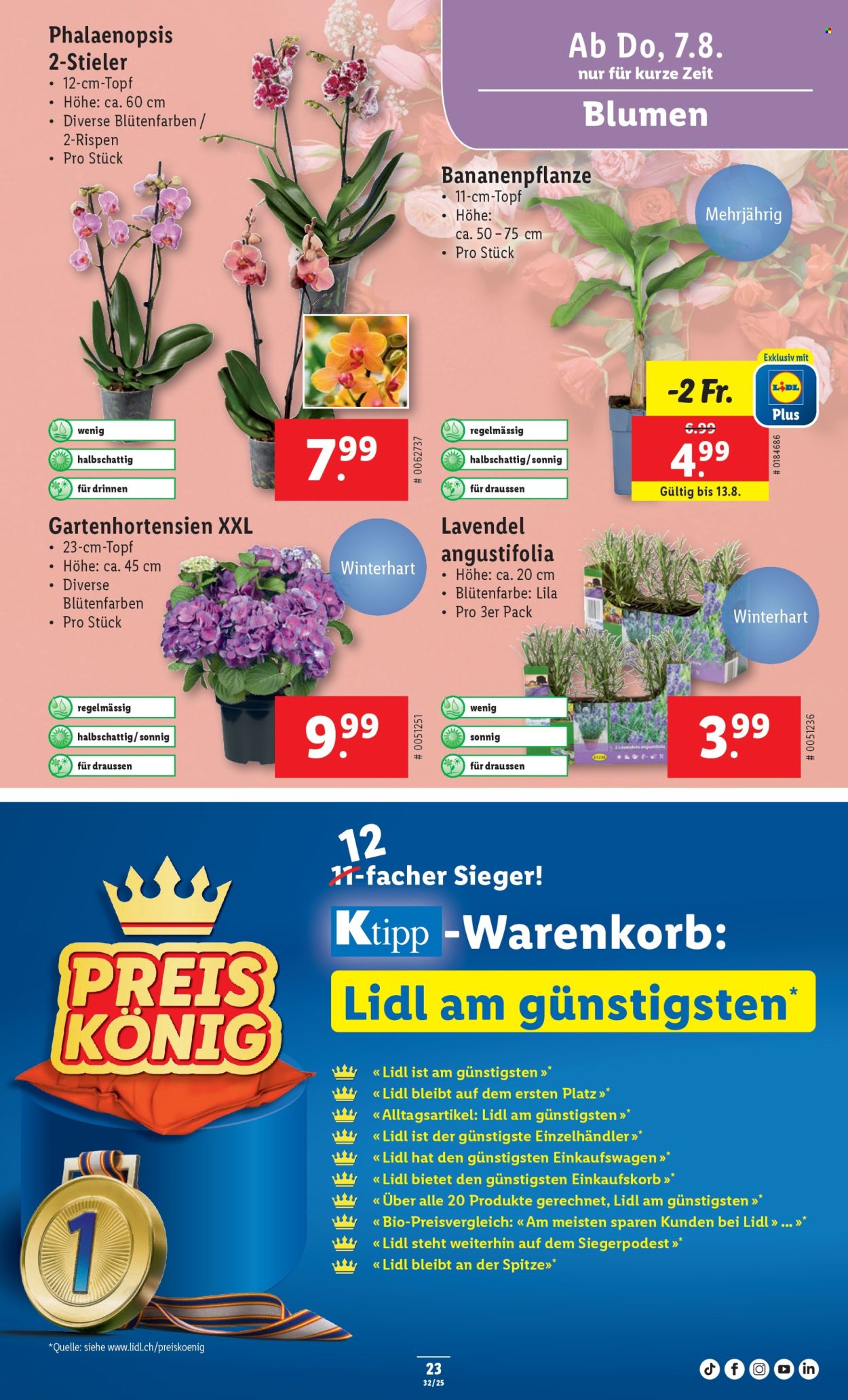 Catalogue Lidl - 7.8.2025 - 13.8.2025. Page 25. Page 25