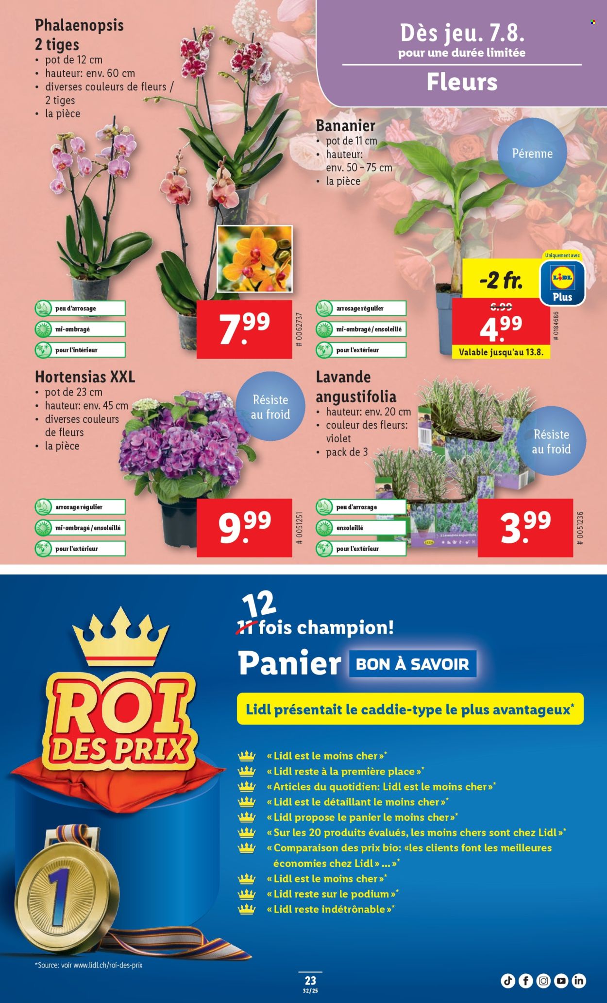Catalogue Lidl - 7.8.2025 - 13.8.2025. Page 25. Page 25