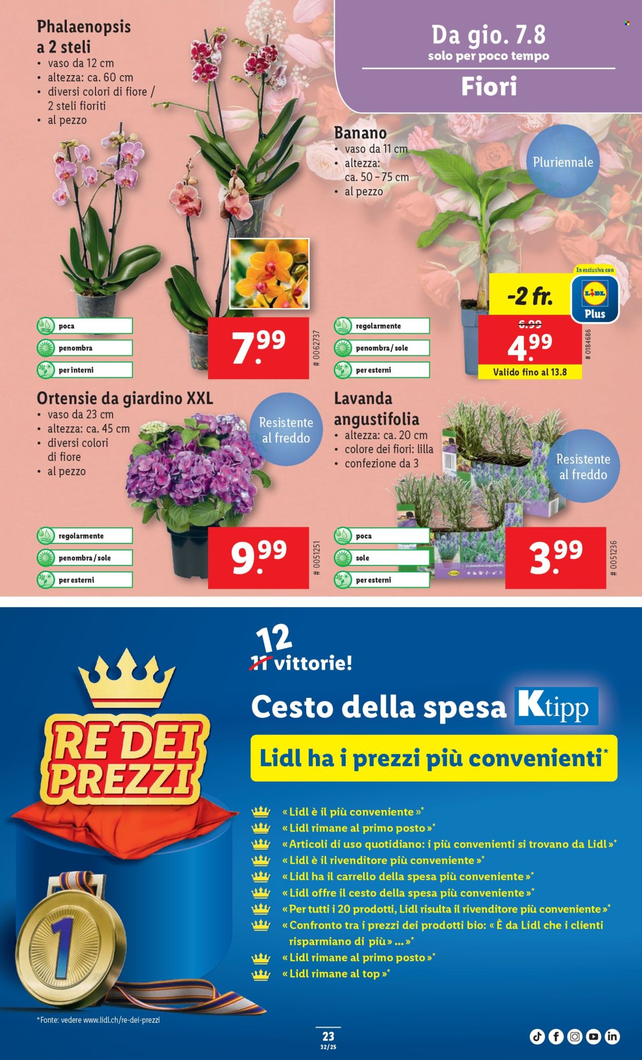Catalogue Lidl - 7.8.2025 - 13.8.2025. Page 25. Page 25