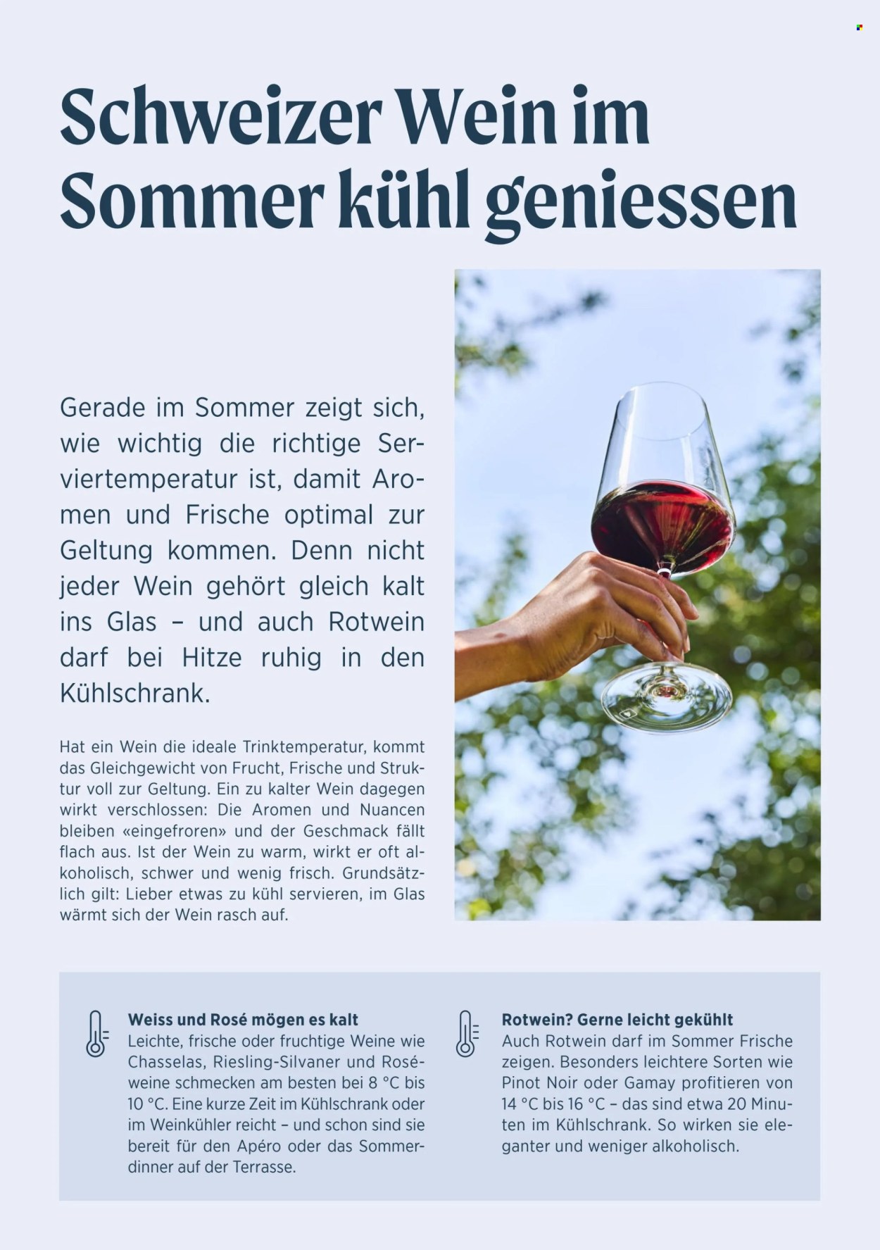 Catalogue Denner - 29.7.2025 - 25.8.2025. Page 10. Page 10