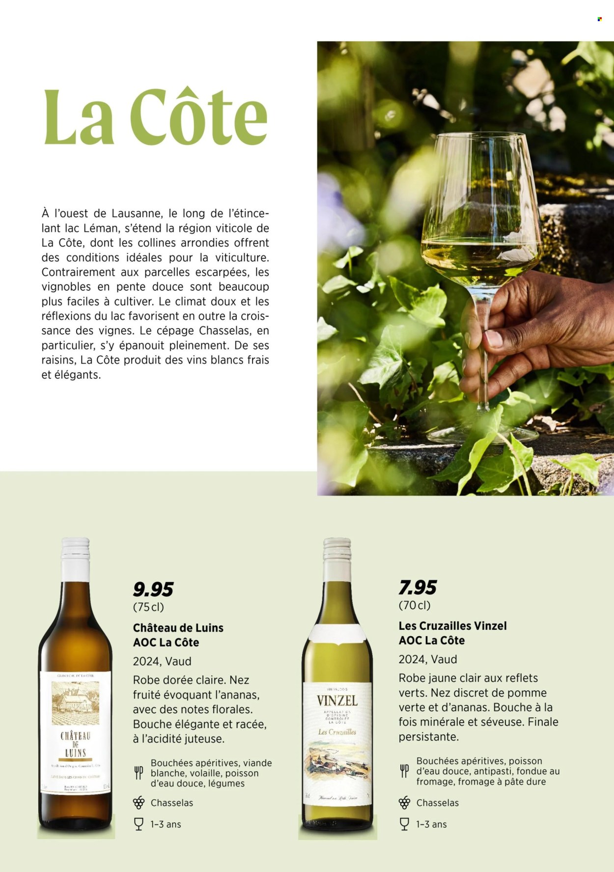 Catalogue Denner - 29.7.2025 - 25.8.2025. Page 4. Page 4