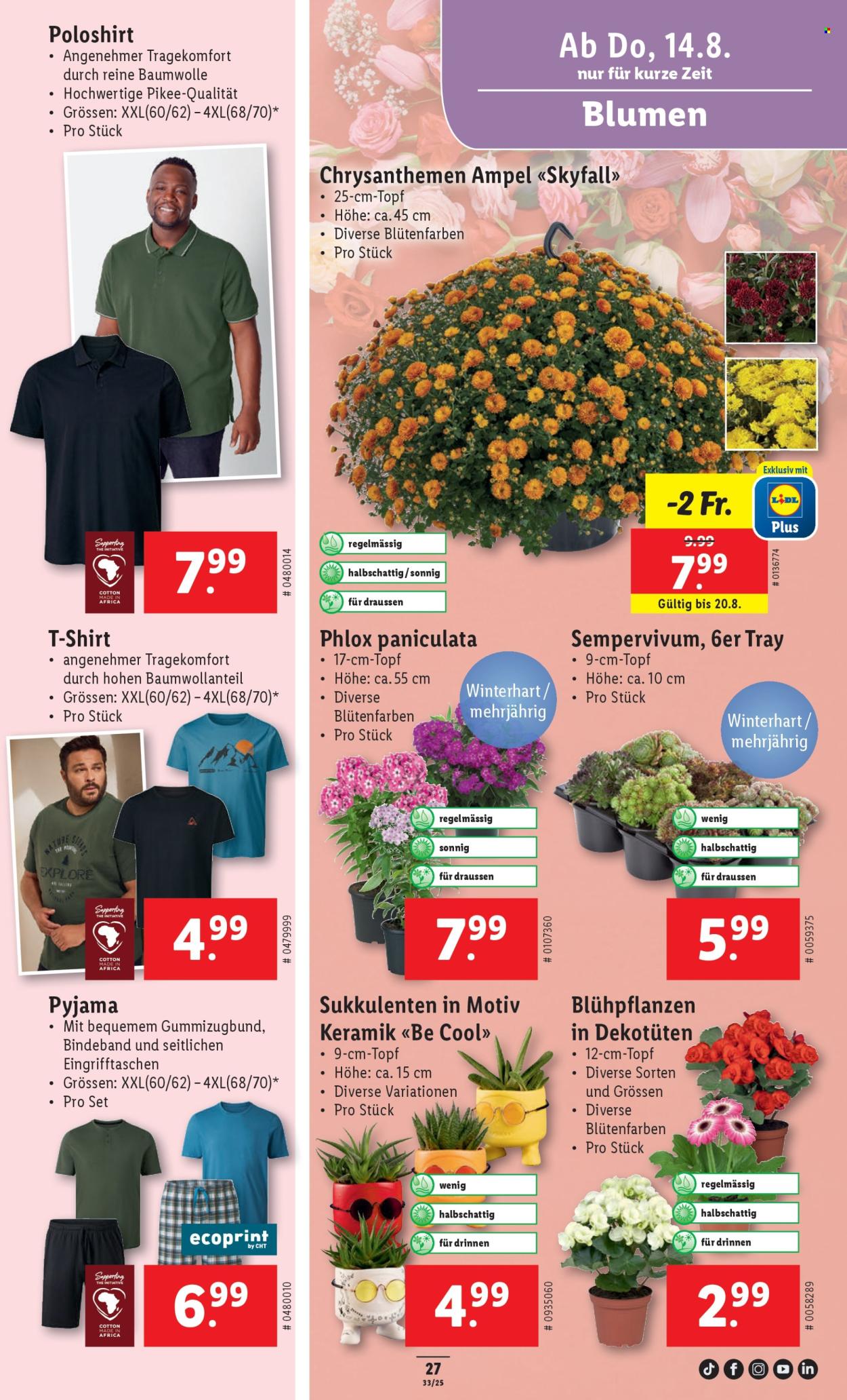 Catalogue Lidl - 14.8.2025 - 20.8.2025. Page 29. Page 29