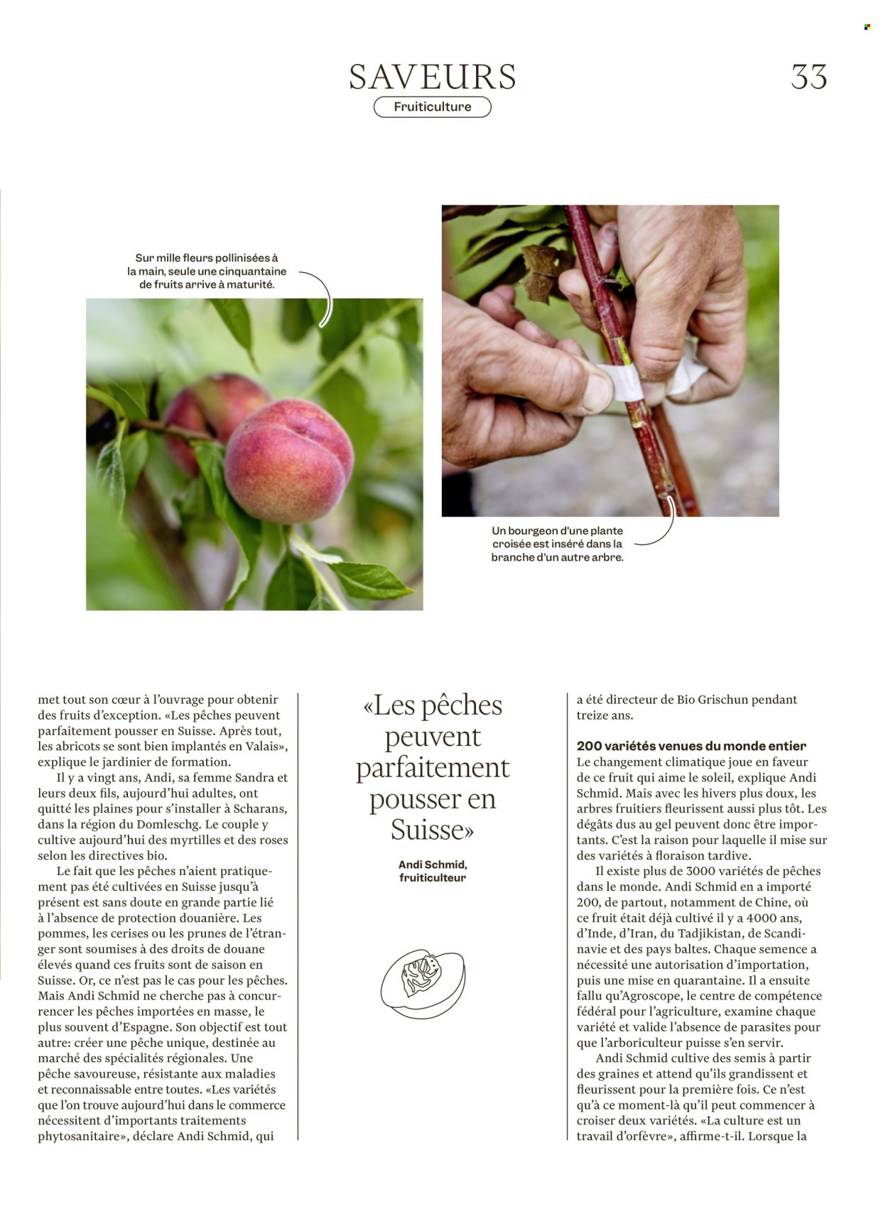 Catalogue Migros - 12.8.2025 - 18.8.2025. Page 33. Page 33