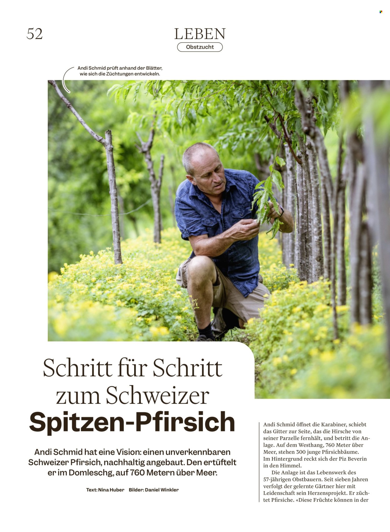 Catalogue Migros - 12.8.2025 - 18.8.2025. Page 52. Page 52